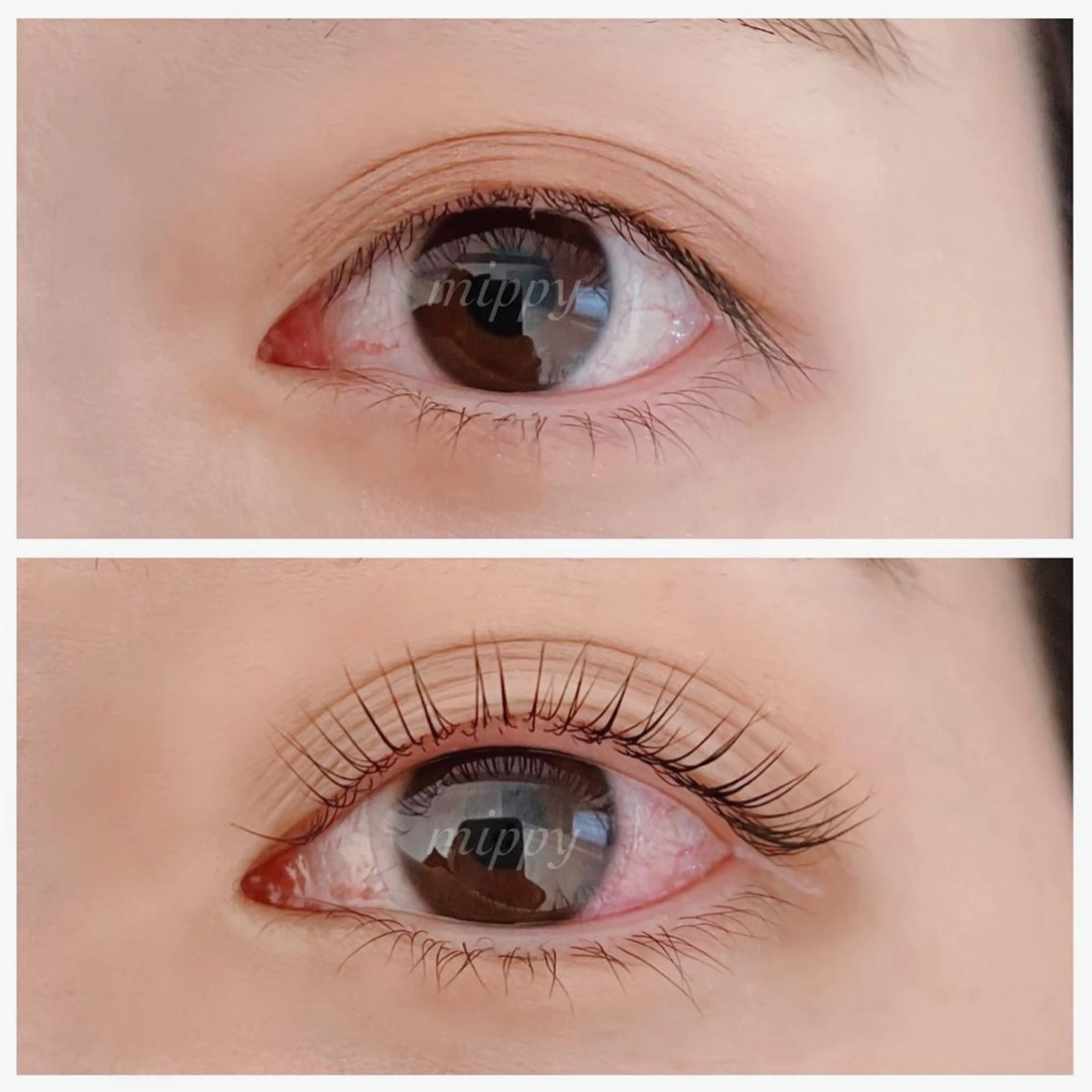 マツエク・マツパ パリジェンヌラッシュリフト ｍｉｐｐｙ 🪽のマツエク・マツパデザイン