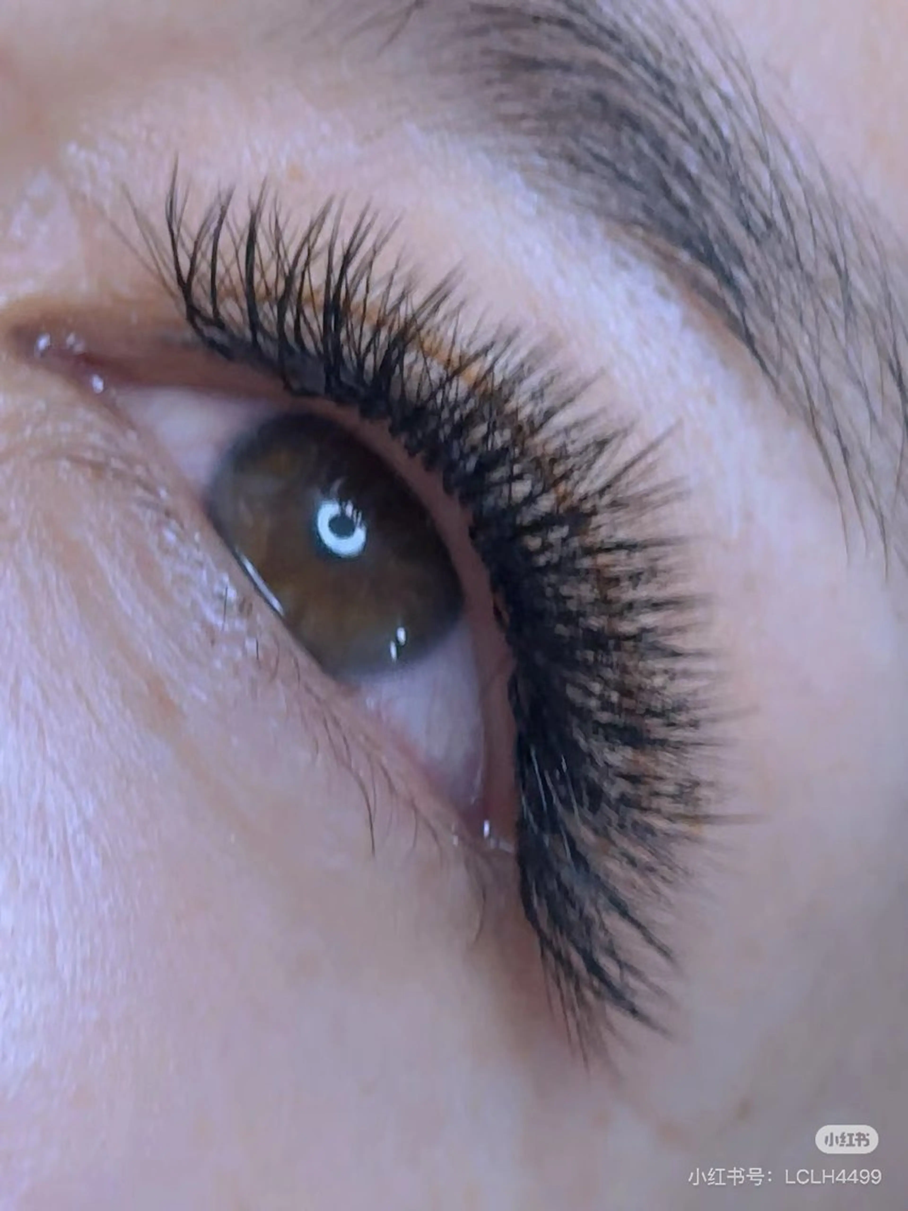 【LED無料】海外話題😛5Dボリュームラッシュ500本(6480円)、700本まで(8000円)😻初回オフ無料の写真