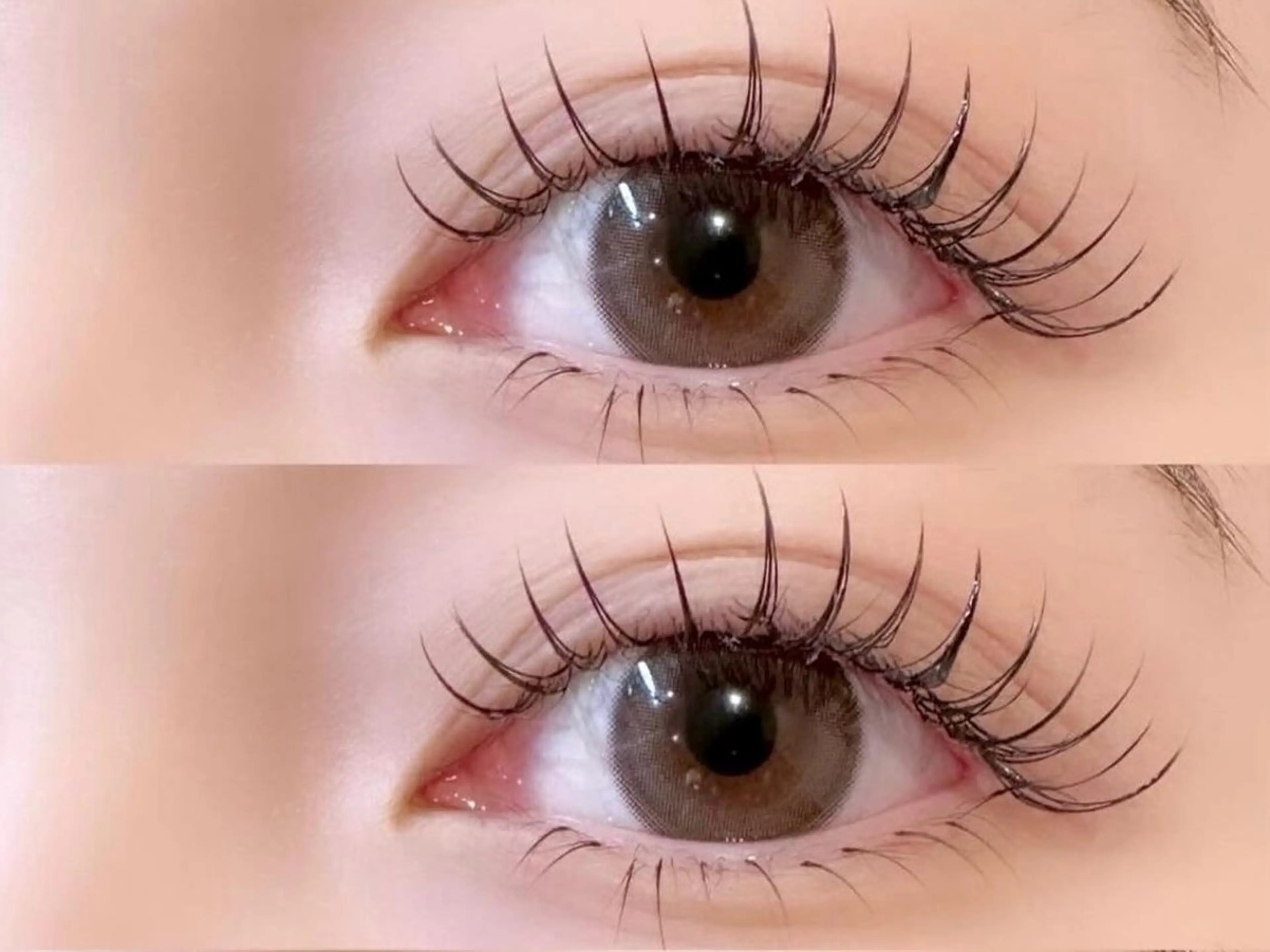 フラットラッシュ80本の写真