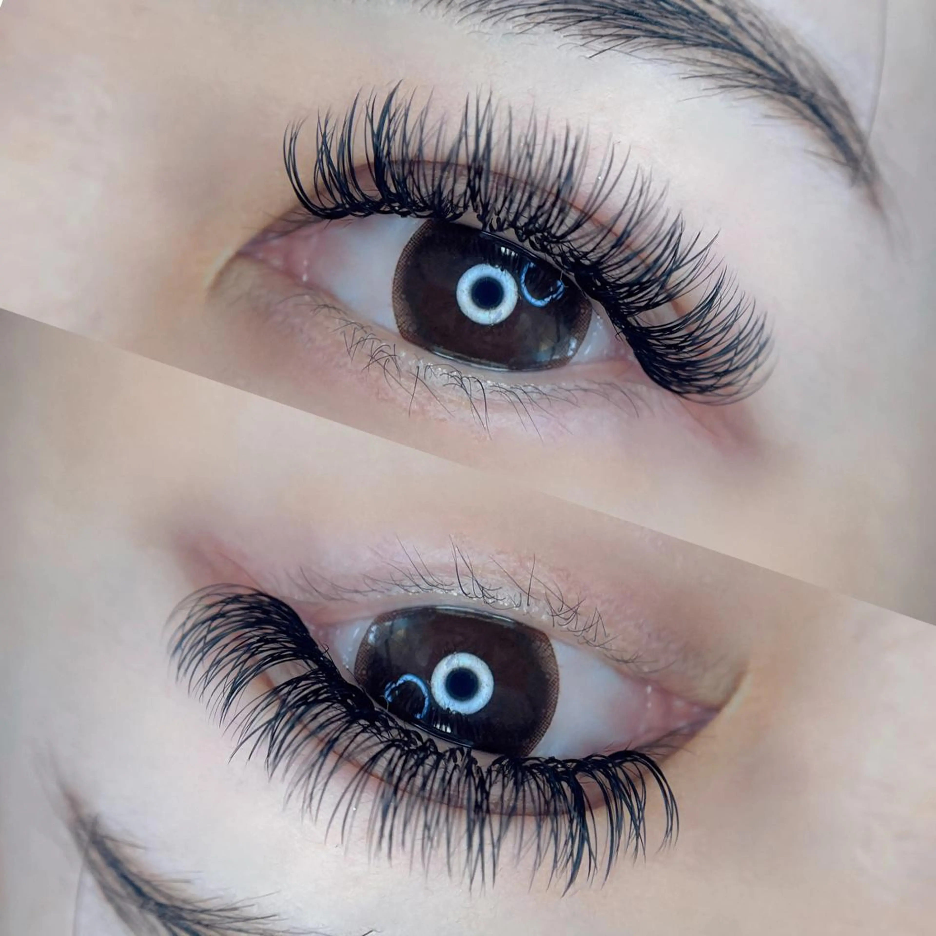 バインドロック【160束】オフなし🌟 アイケア付き◎ブラウン変更可能の写真