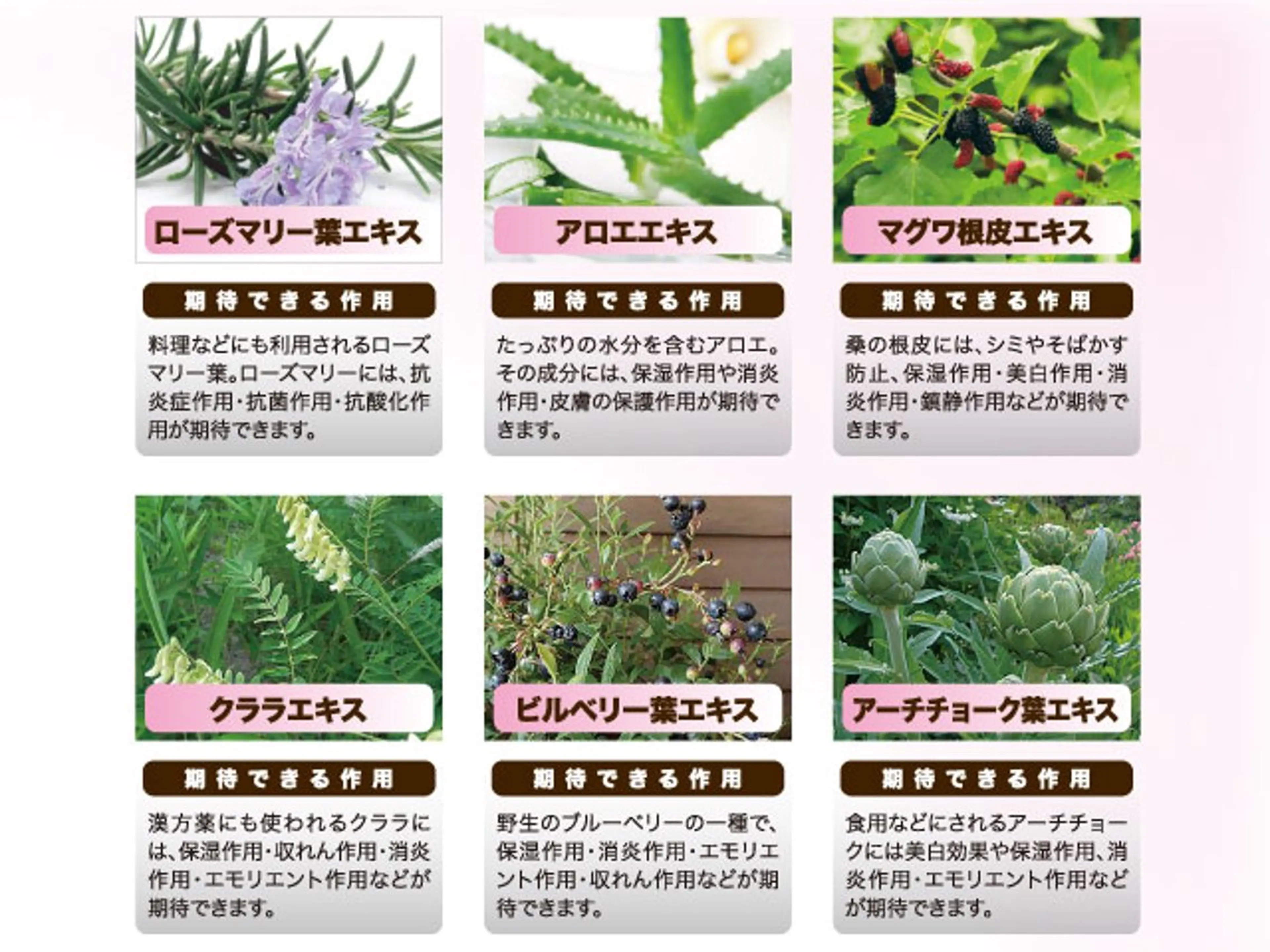 脱毛サロン Lokahiのエステ・リラクイメージ