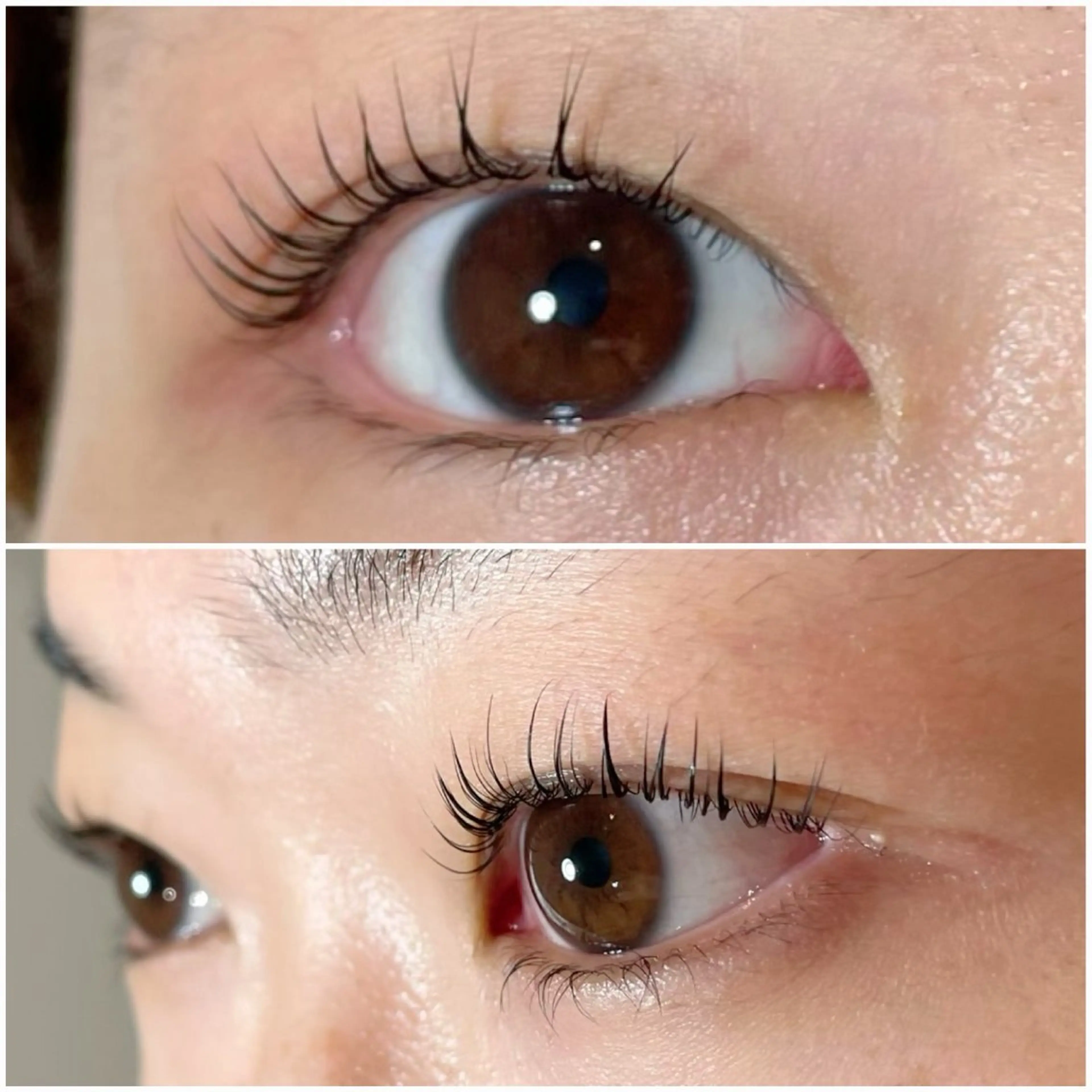 パーマ 新柏PALS ｍｉｈｏのマツエク・マツパデザイン