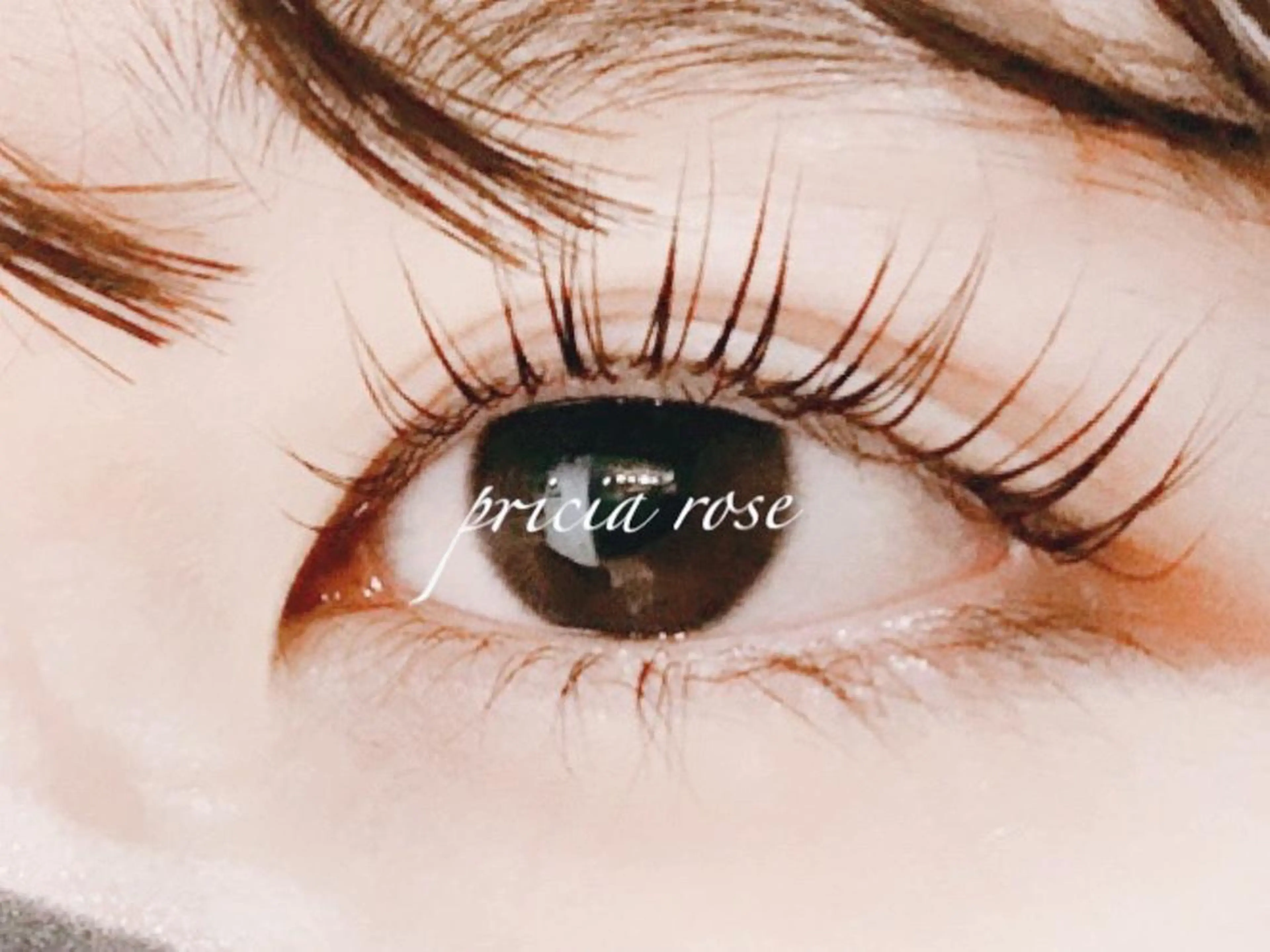 マツエク・マツパ Belsia 千歳烏山のマツエク・マツパデザイン