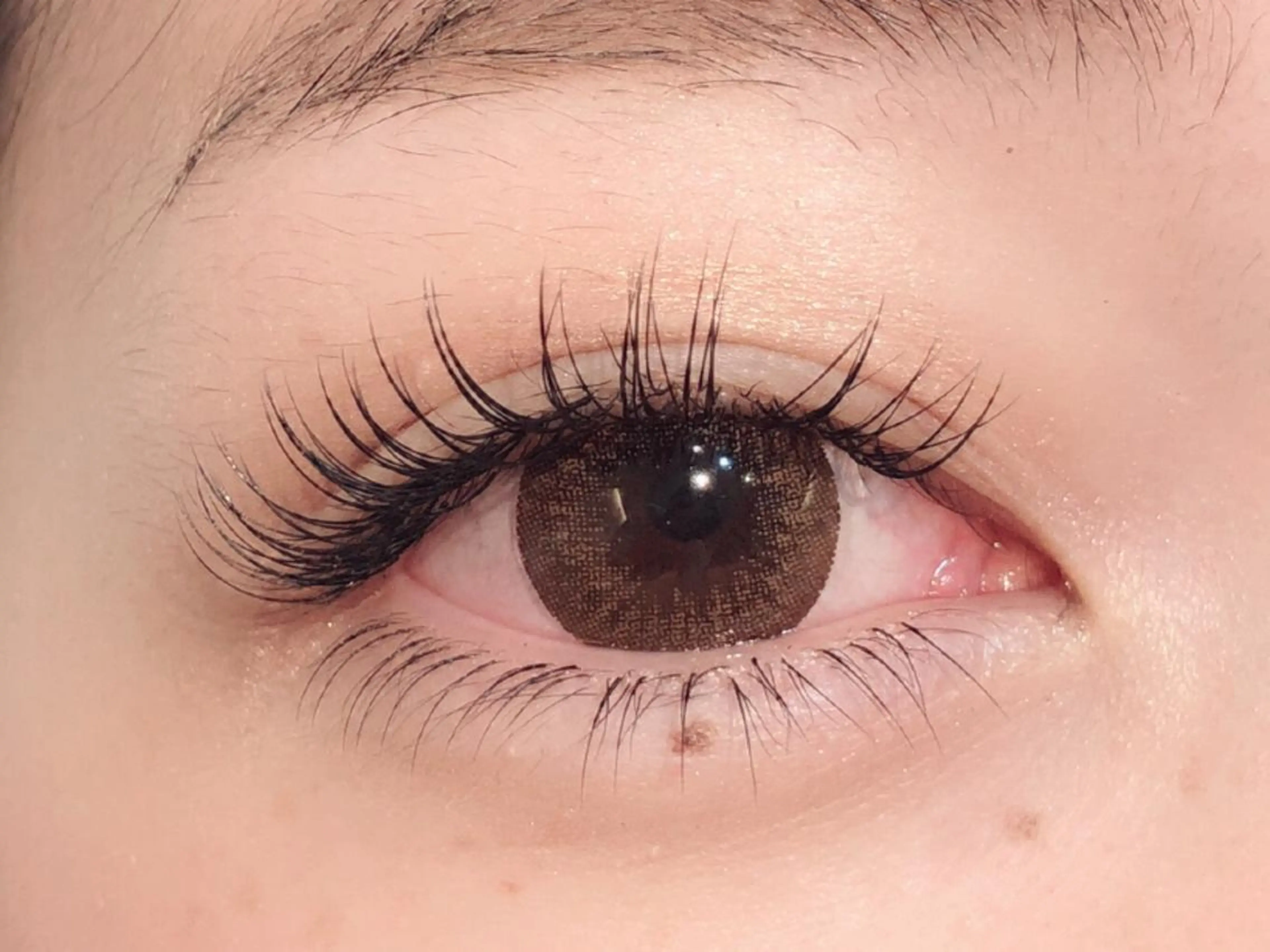 マツエク・マツパ Cカール セーブル セクシー マツパ Luana北千住🩵 株木 美果のマツエク・マツパデザイン