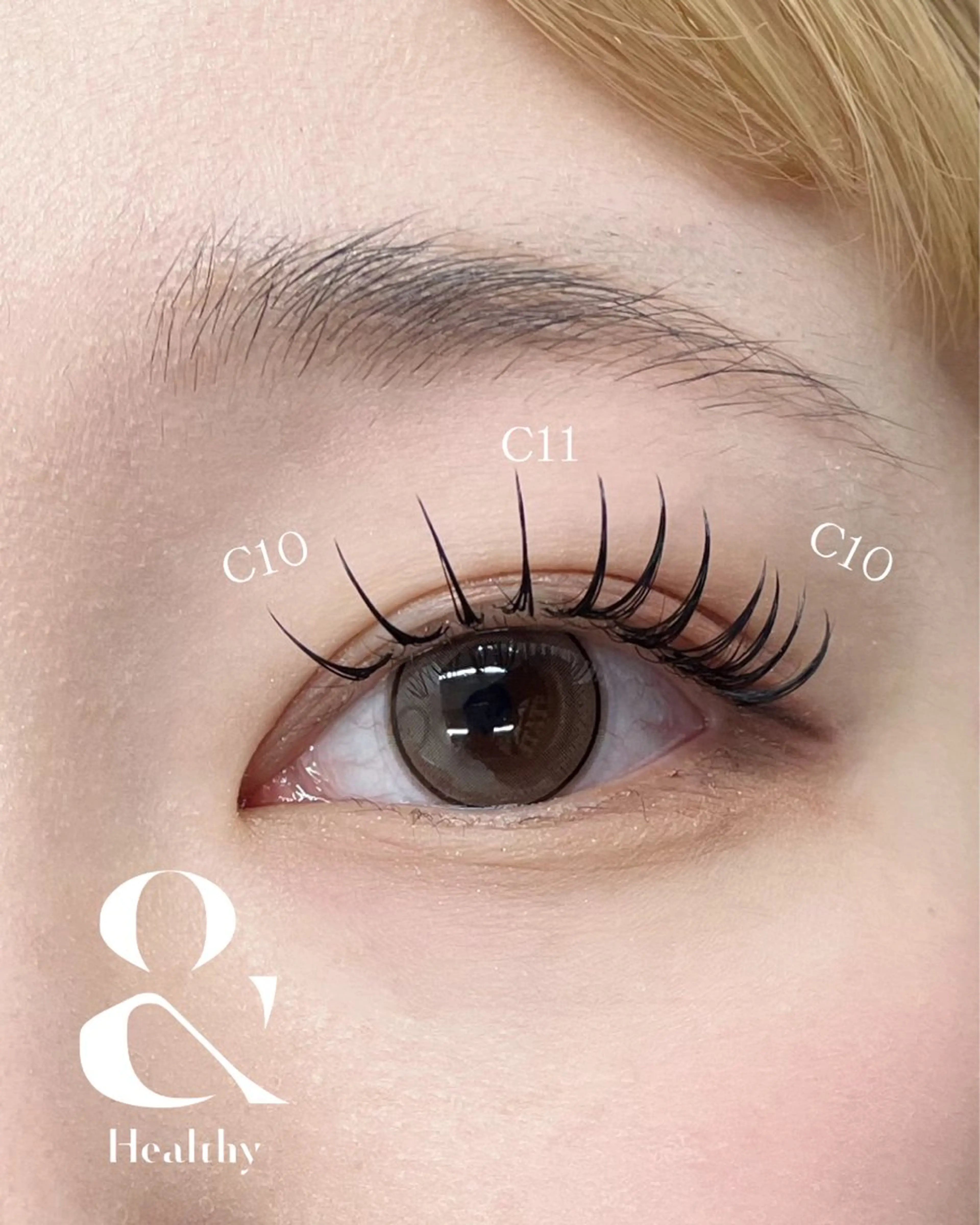 【アンドヘルシー】バインドロック100束の写真