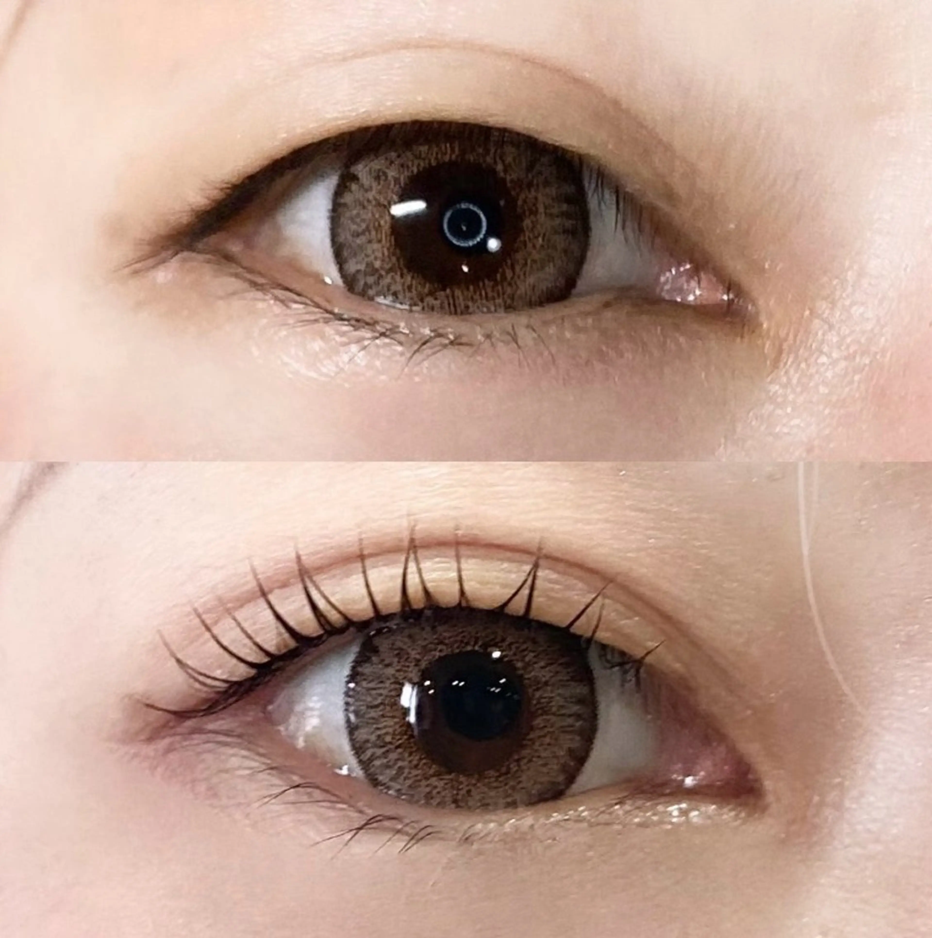 マツエク・マツパ LEDエクステ専門店 Fedis 京橋のマツエク・マツパデザイン