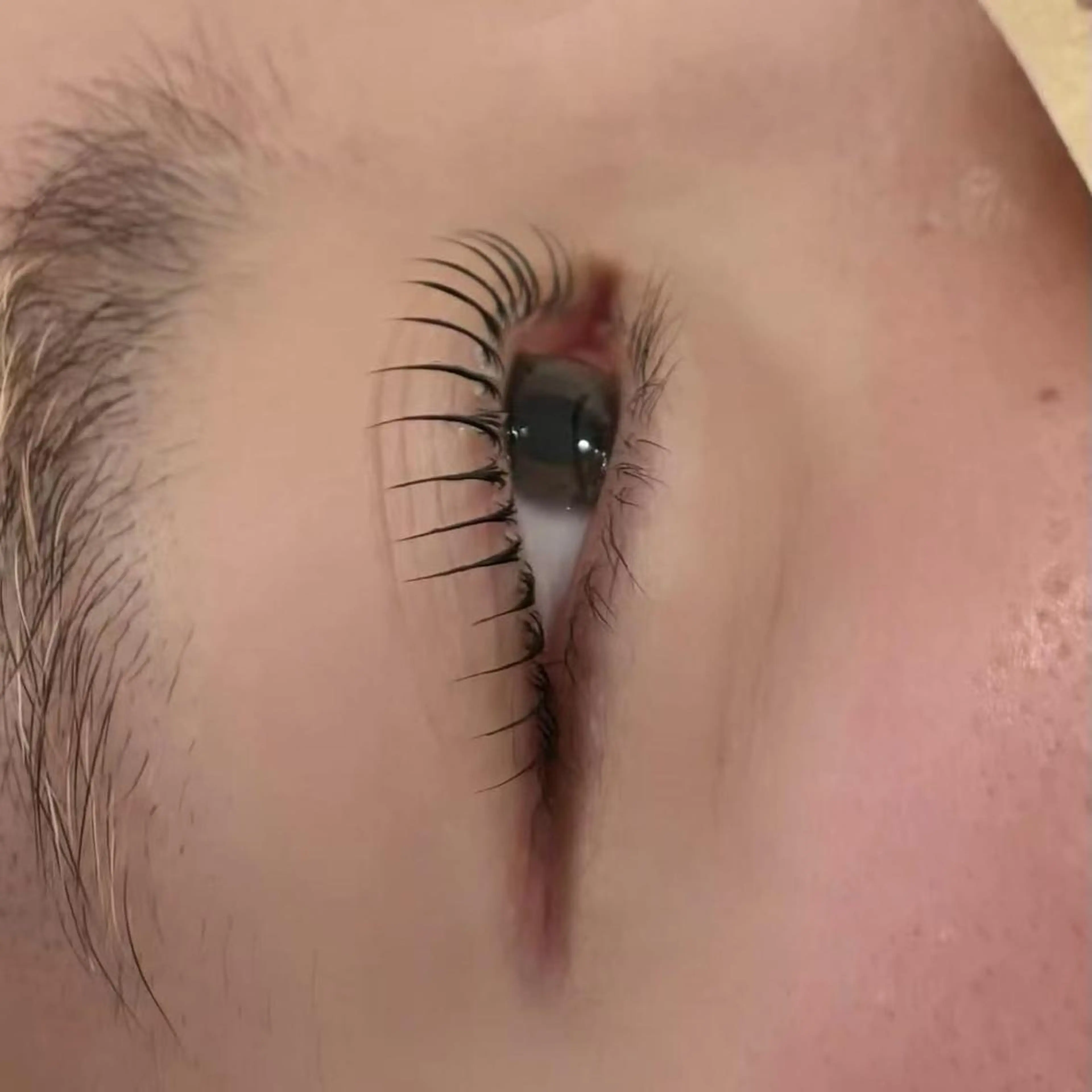 パーマ マツパ H eraのマツエク・マツパデザイン