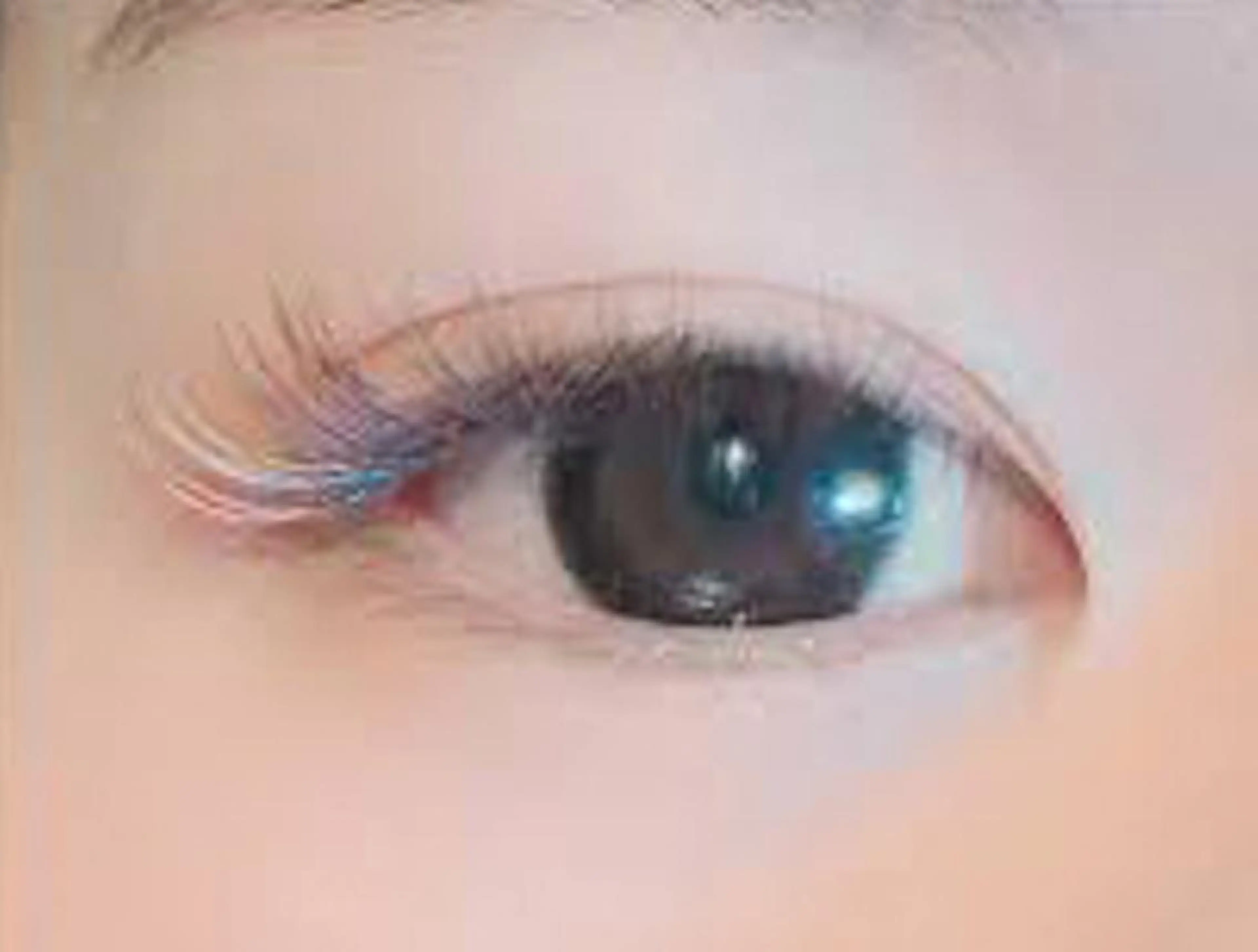 マツエク・マツパ セーブル ミントラッシュ 福岡天神店のマツエク・マツパデザイン