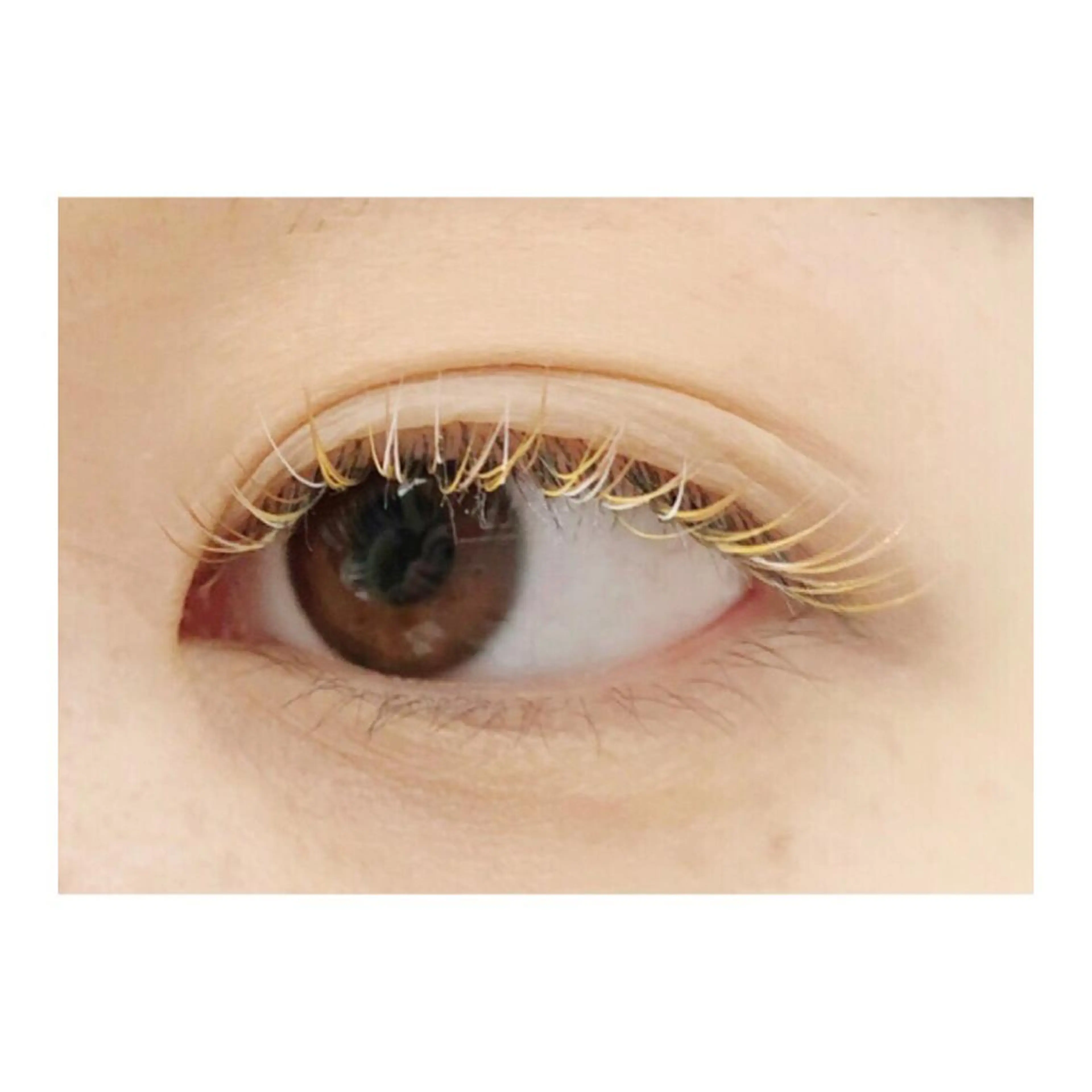 マツエク・マツパ salon luxiaのマツエク・マツパデザイン