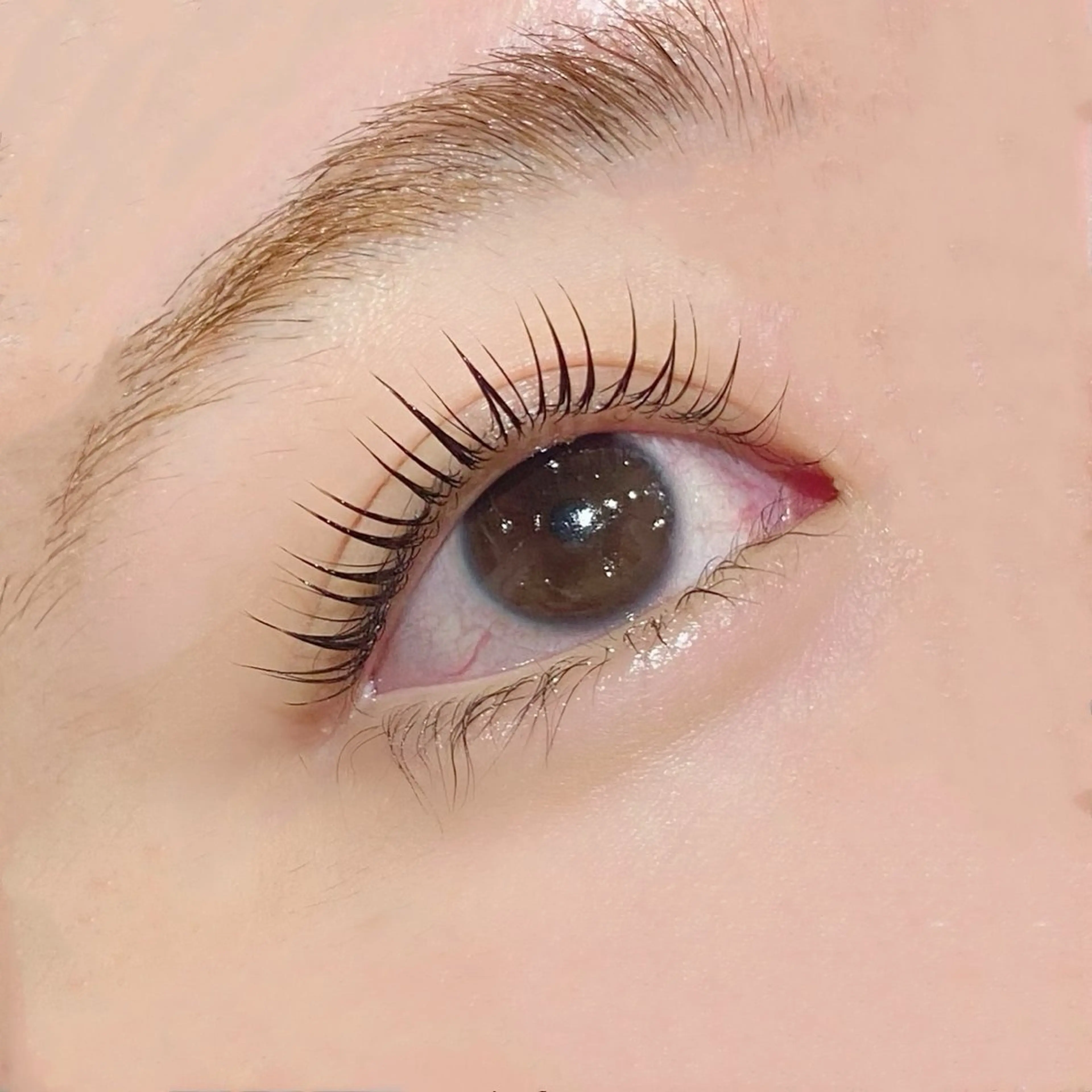 マツエク・マツパ gioia 根津のマツエク・マツパデザイン