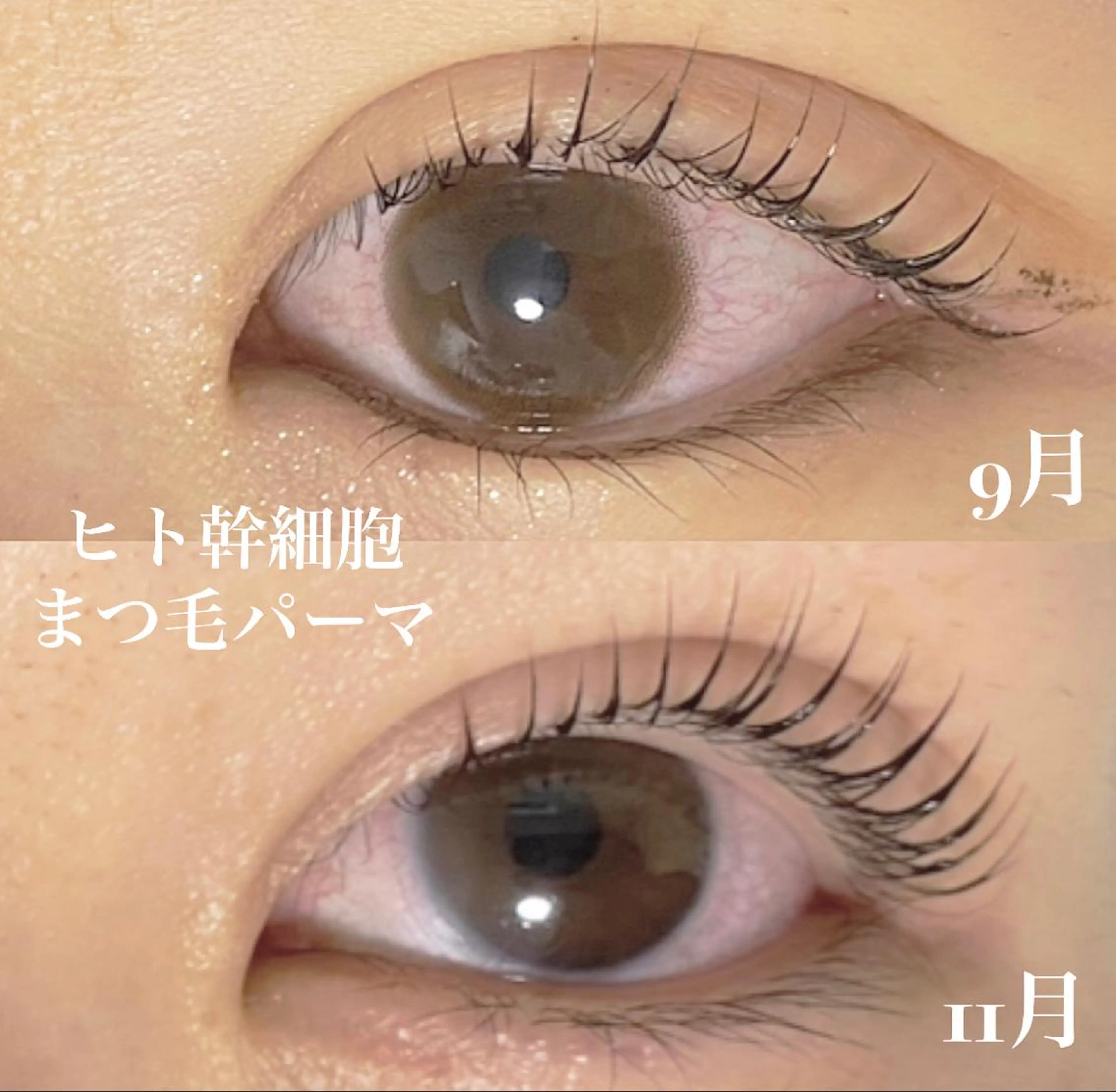 マツエク・マツパ 一重×まつ毛パーマ Anela 博多/春吉のマツエク・マツパデザイン