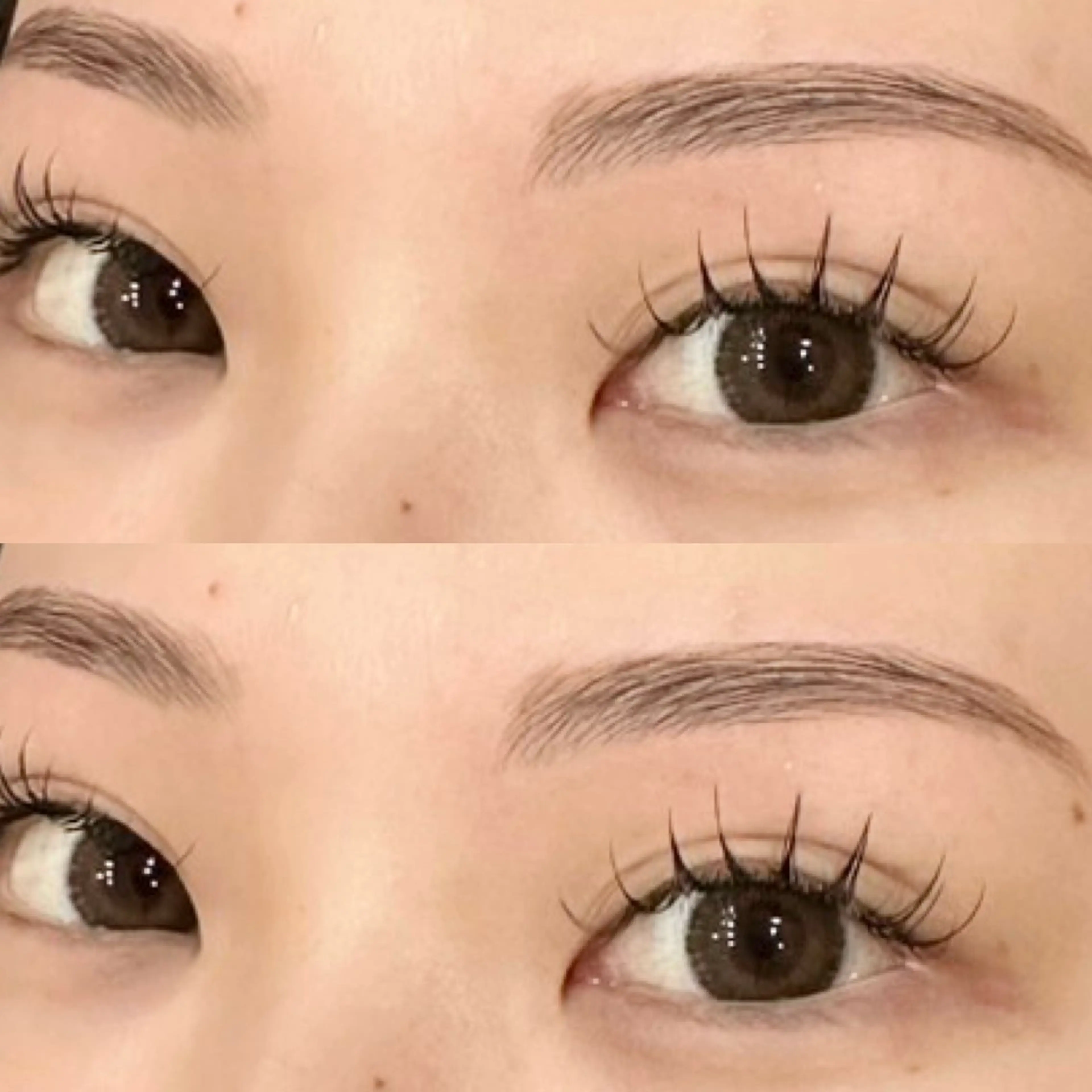 マツエク・マツパ フラットラッシュ マツエク lash room 🌼 miyabiのマツエク・マツパデザイン