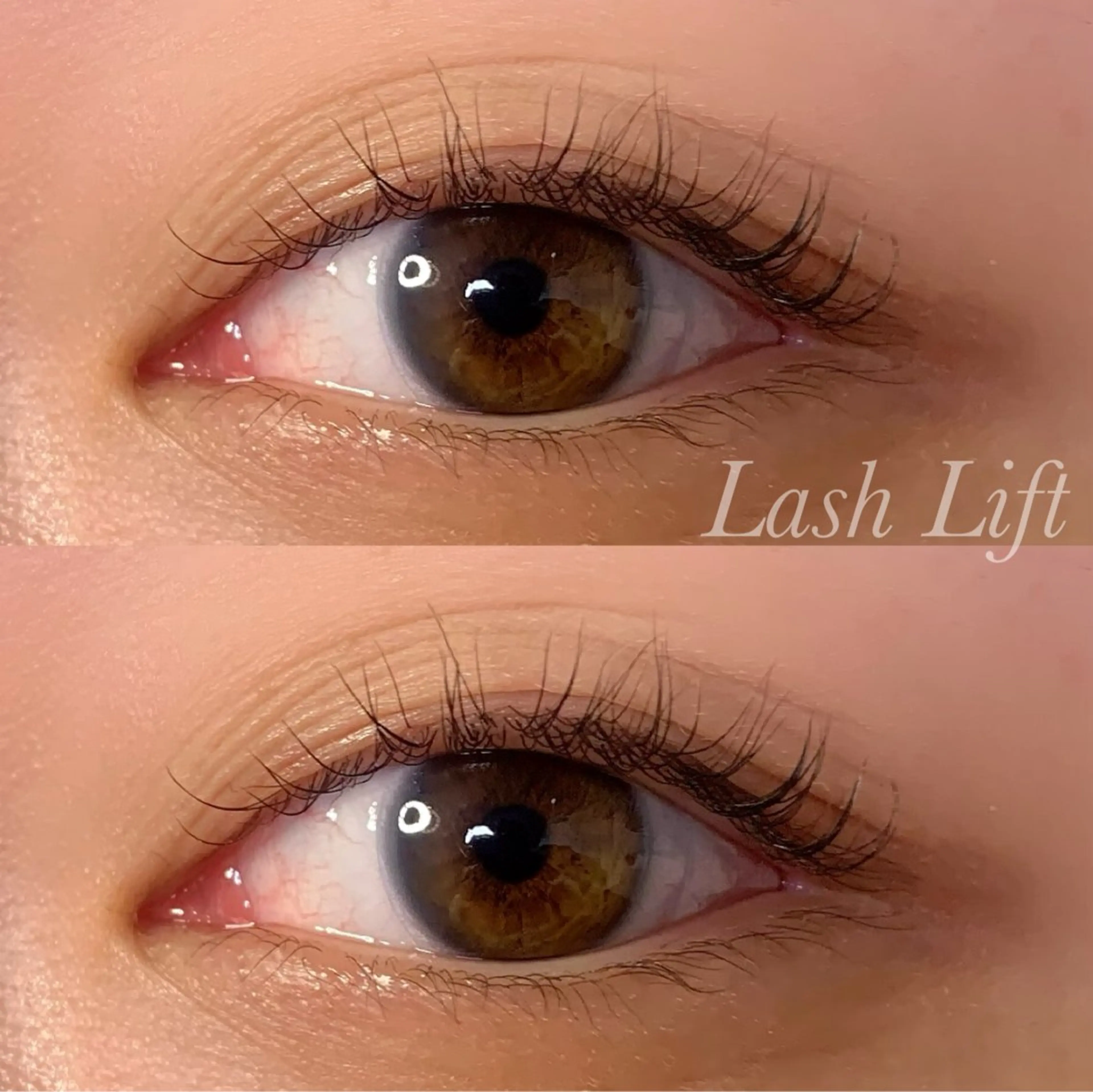 マツエク・マツパ まつげパーマ マツパ Ayumi.pro 🍆N《4階》のマツエク・マツパデザイン