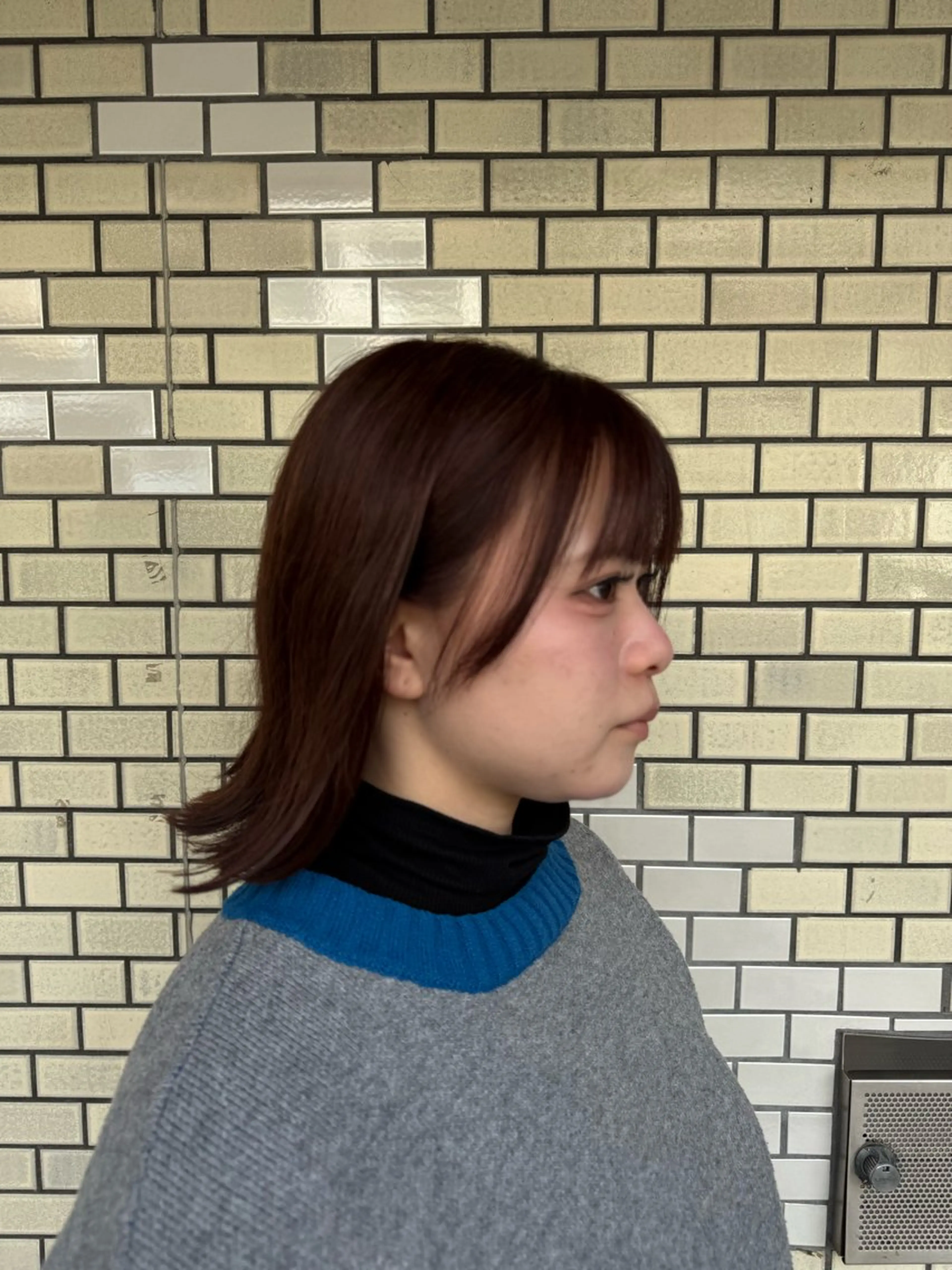 ミディアム カラー ブリーチ ブラウンカラー ラベンダーカラー ラベンダーピンク ピンクカラー 小松 莉夏子のヘアスタイル