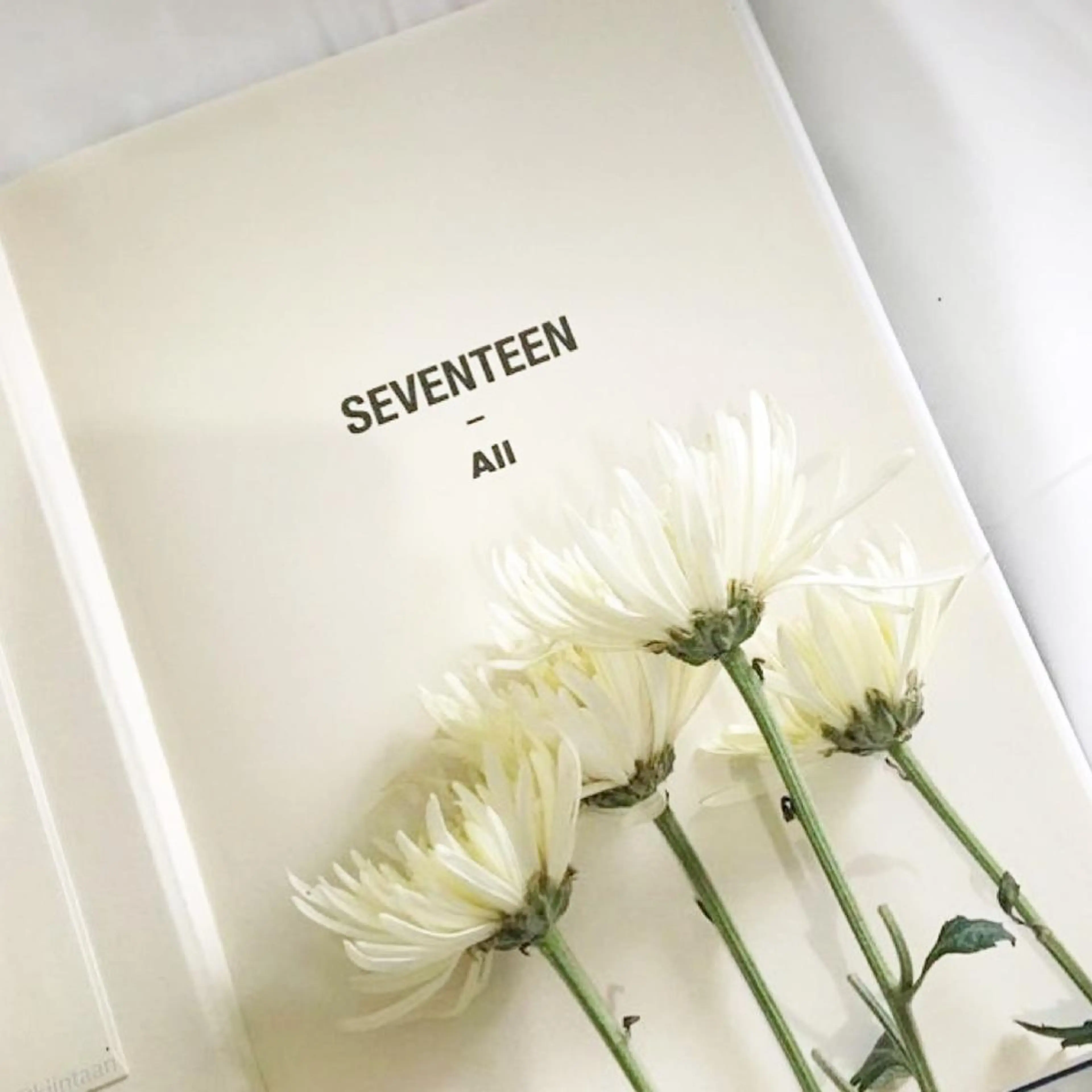 ネイル nicolenail /emureのネイルデザイン