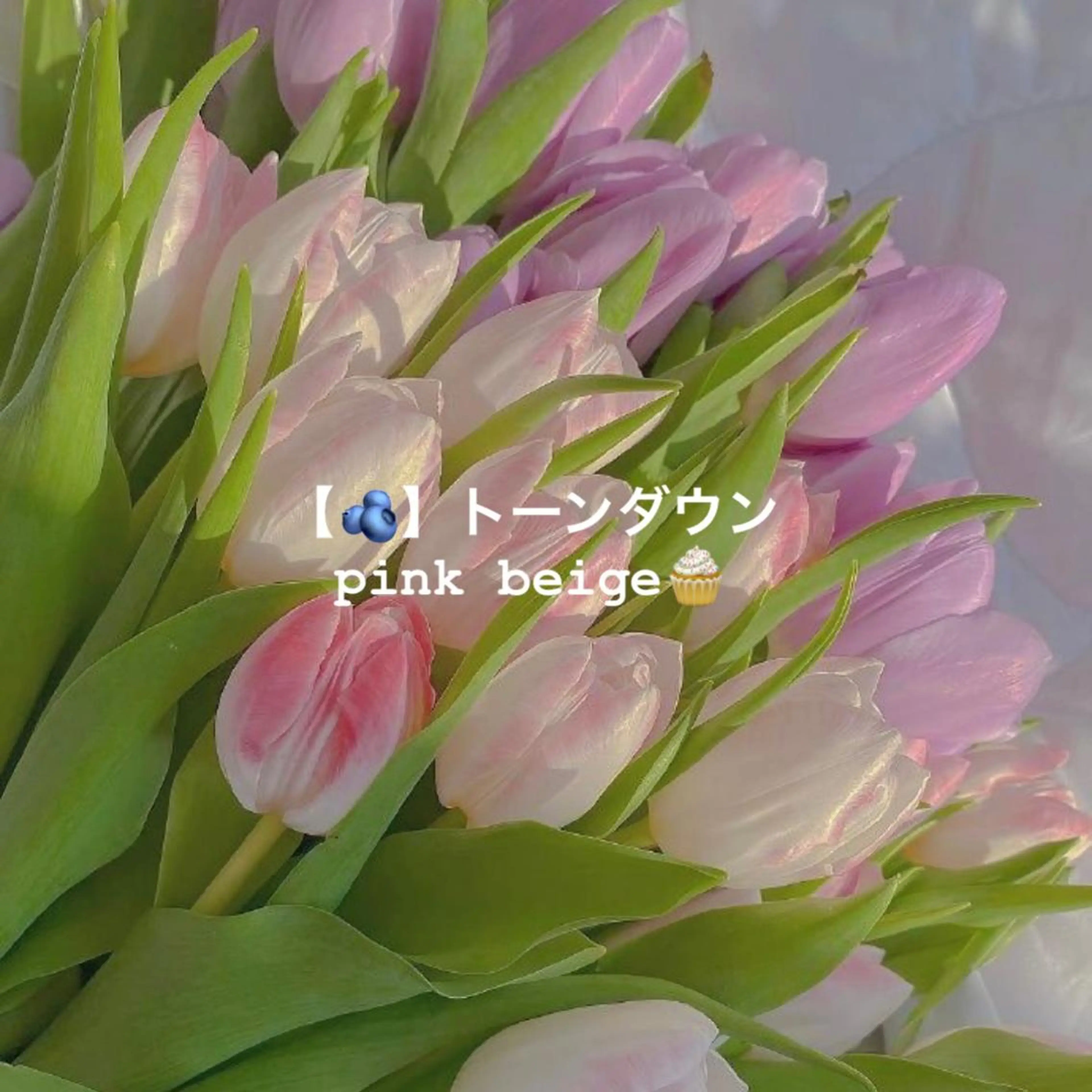 カラー ㅤㅤㅤㅤㅤㅤㅤㅤㅤㅤ 彩衣のヘアスタイル