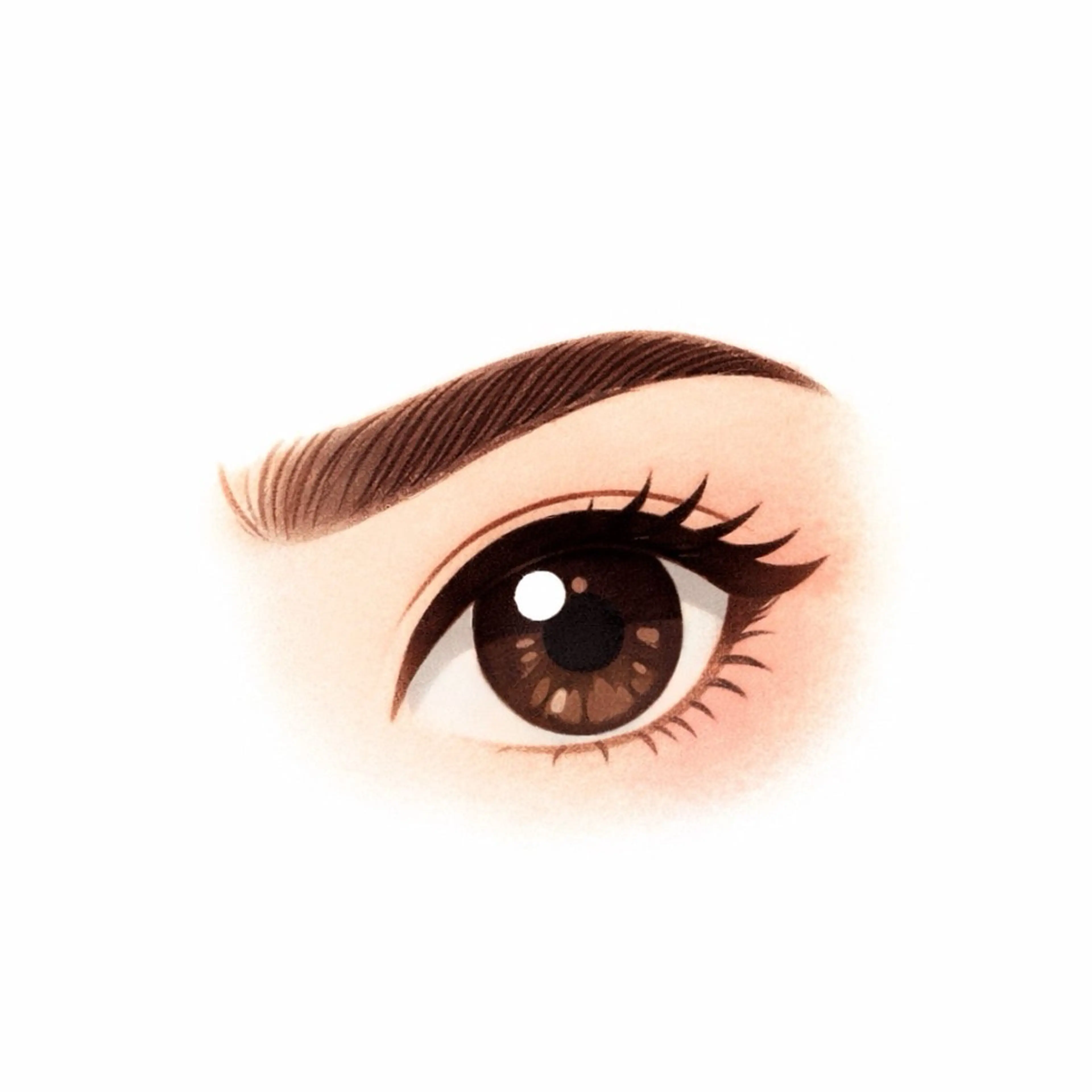 アイブロウ アイブロウA LEAF三原の眉毛・アイブロウイメージ