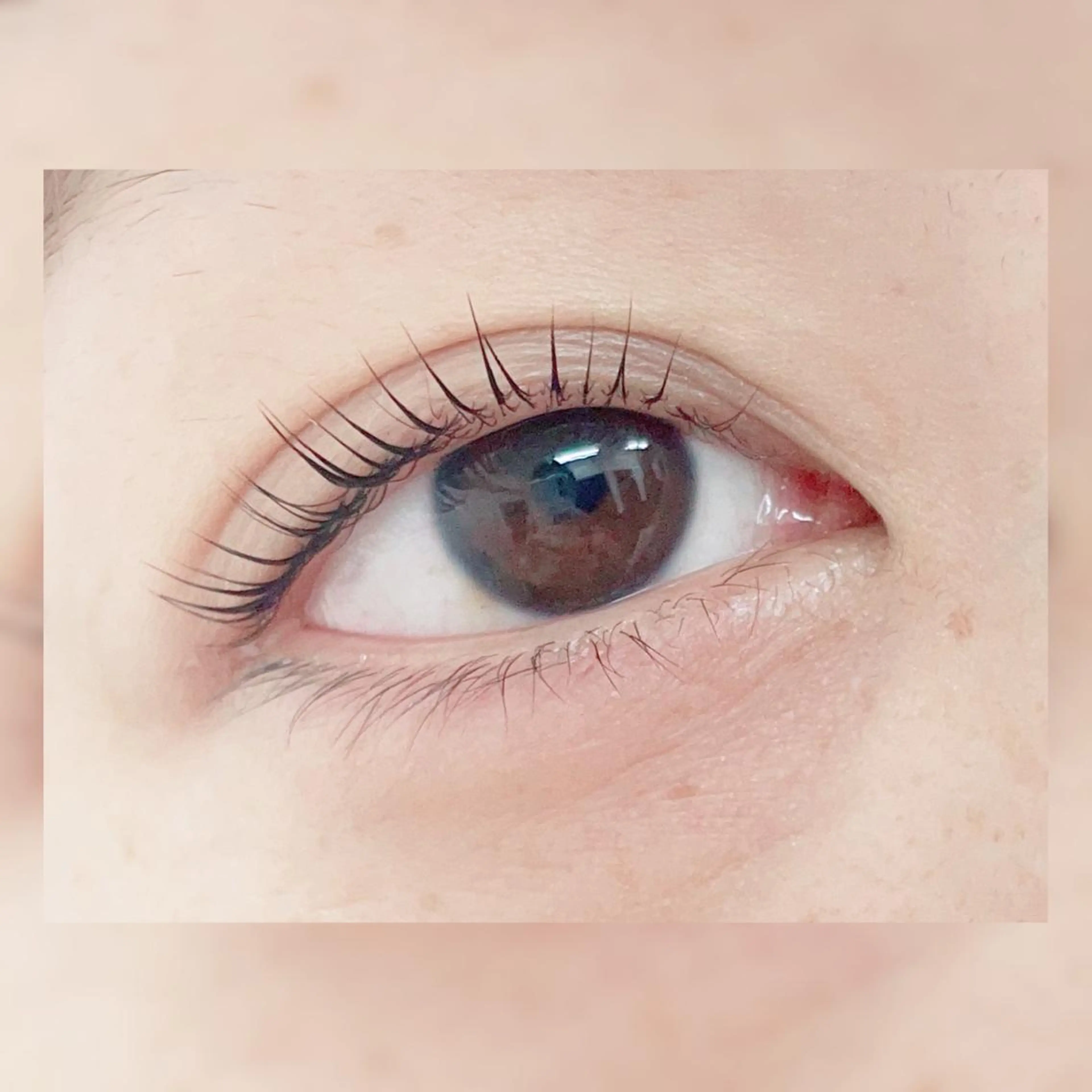 マツエク・マツパ パリジェンヌラッシュリフト Natural Eyebrow 東松戸店所属・金山 💐のマツエク・マツパデザイン