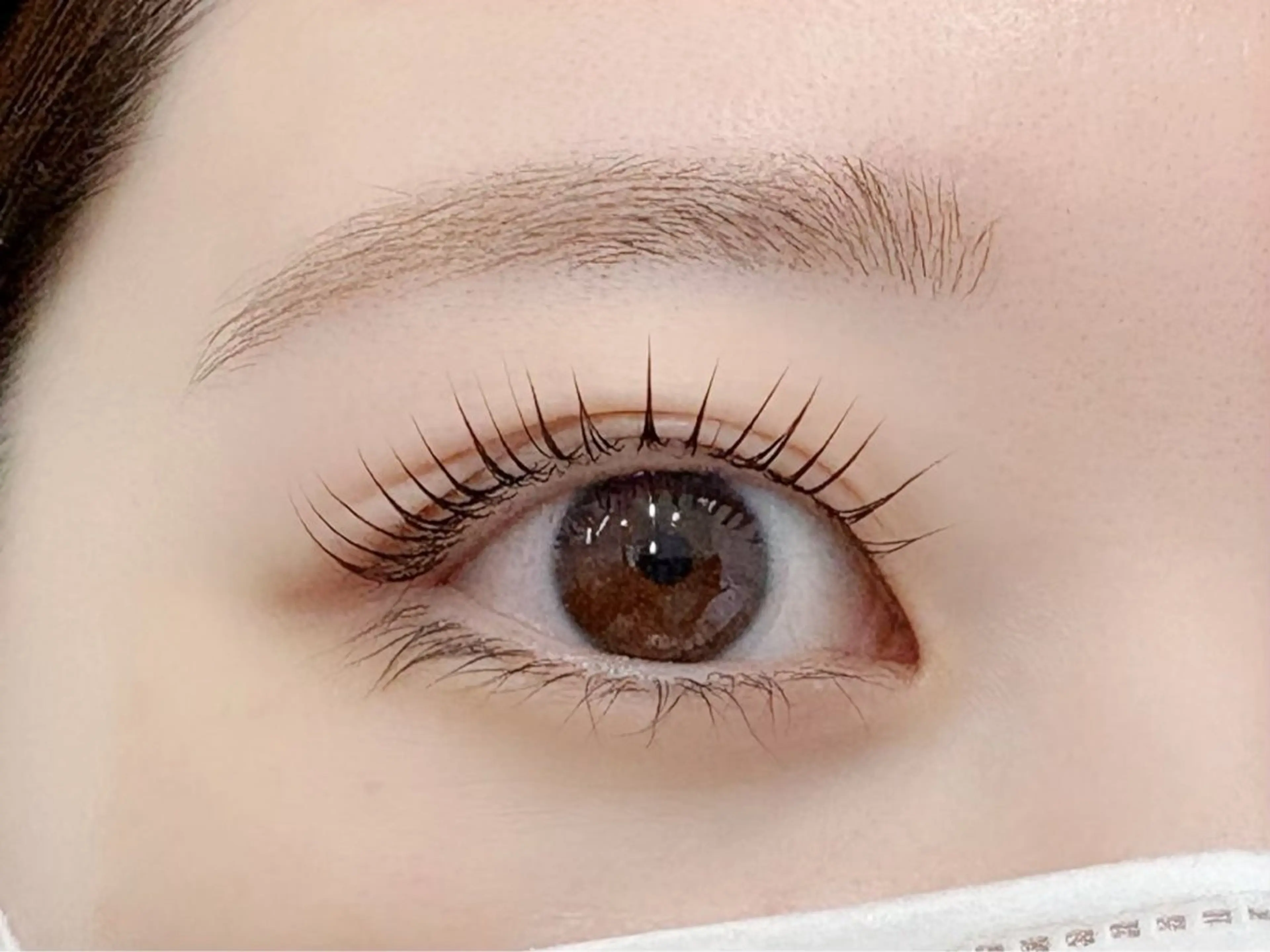 マツエク・マツパ マツパ Ai Quick 秋葉原わたなべの眉毛・アイブロウイメージ