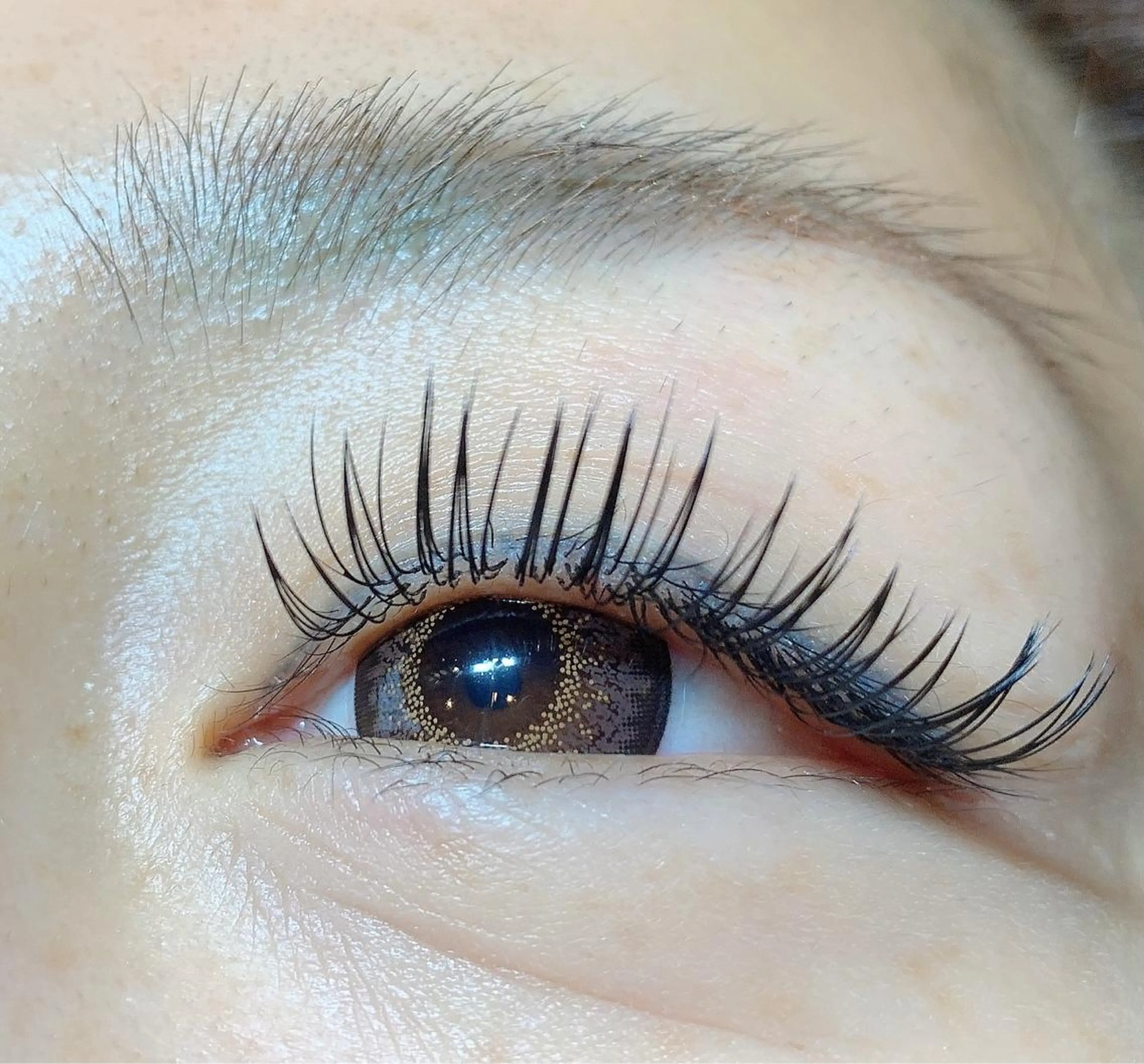 マツエク・マツパ Cカール フラットラッシュ マツエク fan.germe 副店長MIYABIのマツエク・マツパデザイン