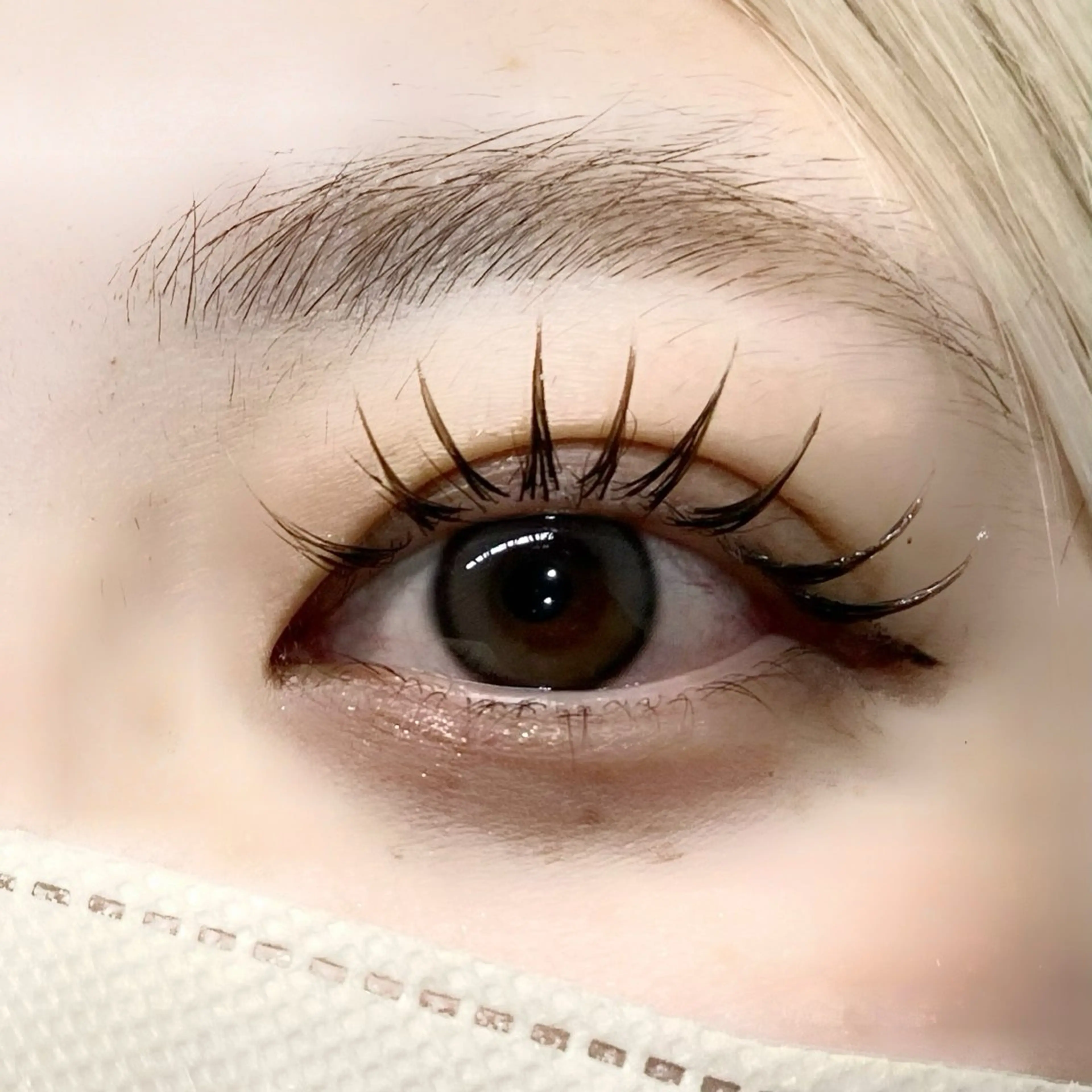 【新規】フラットラッシュ 120本 コーティング仕上げ付きの写真