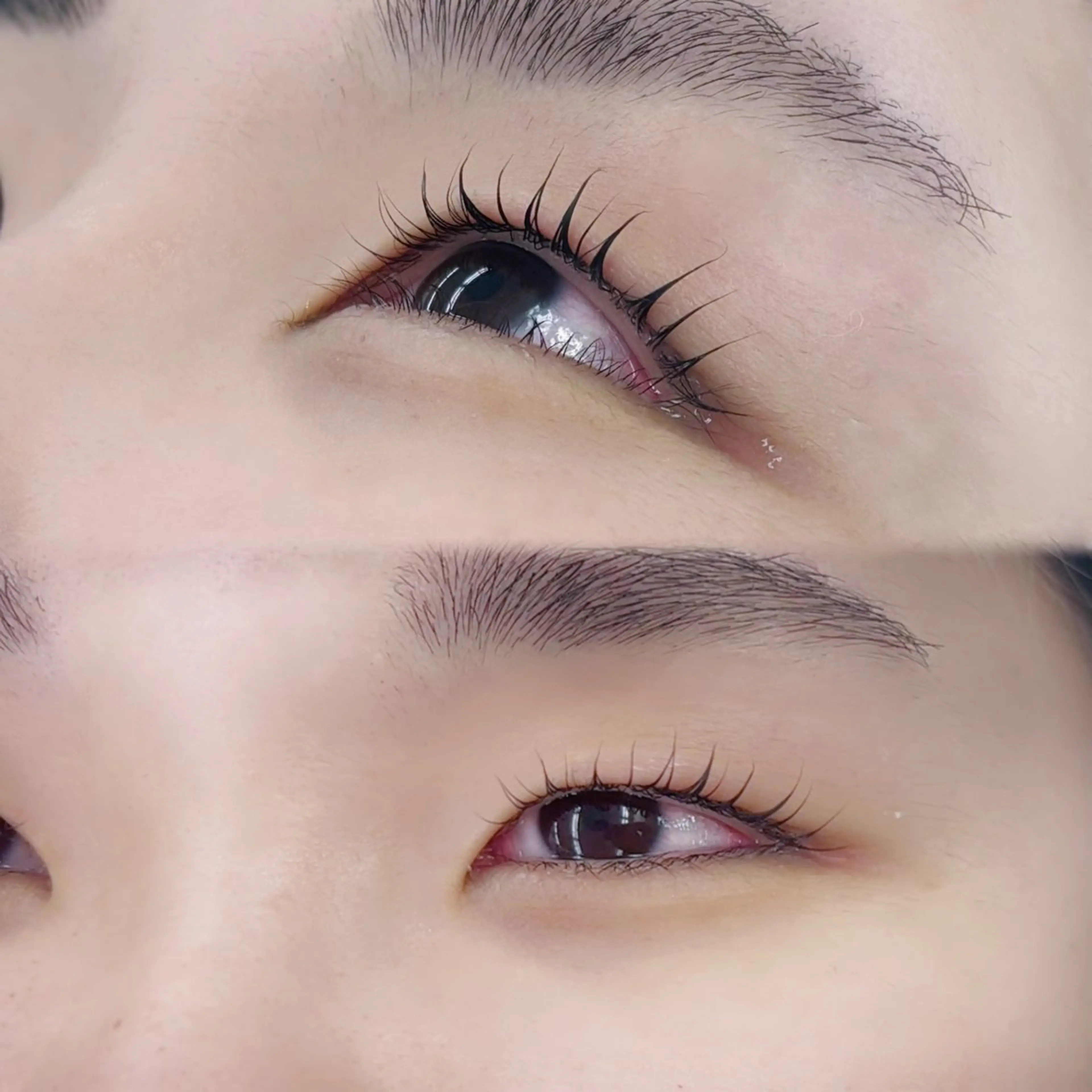 マツエク・マツパ マツパ 寒色/デザインカラー 🪽_マヒルのマツエク・マツパデザイン