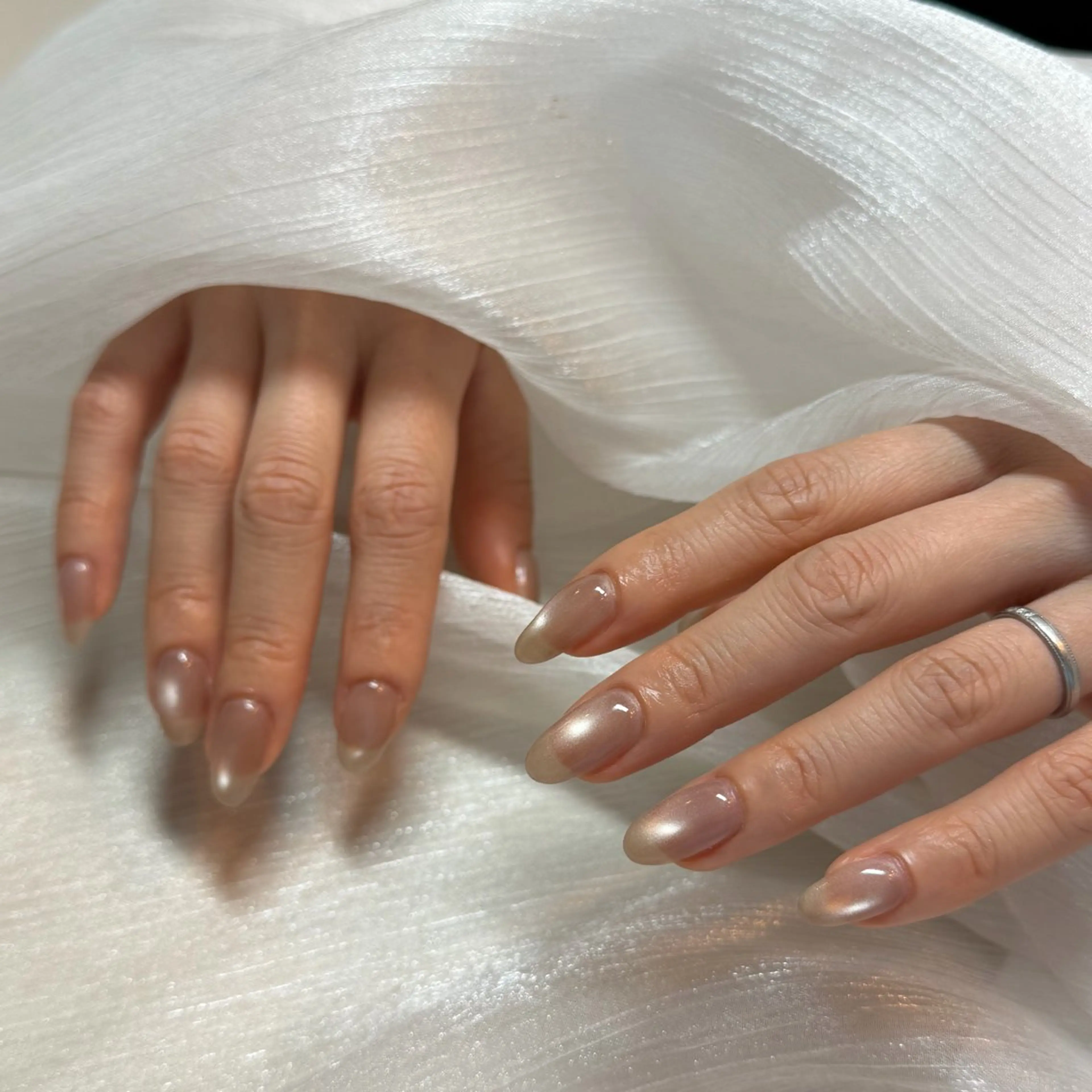 ネイル マグネットネイル ハンドネイル Kapilina🌺 MOMOのネイルデザイン