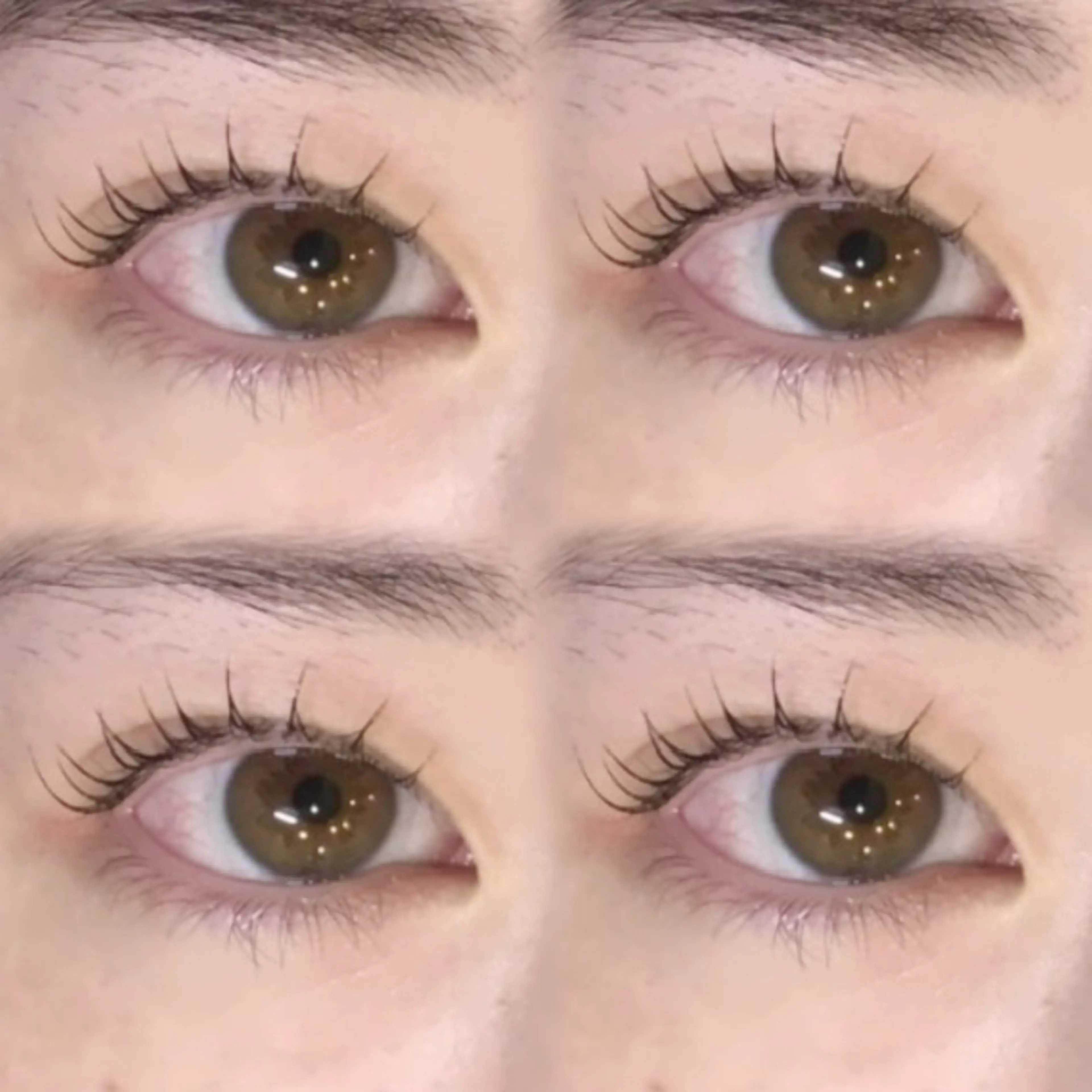 モデル募集🎀マツエク100本🎀2時間【注意事項確認必須】の写真