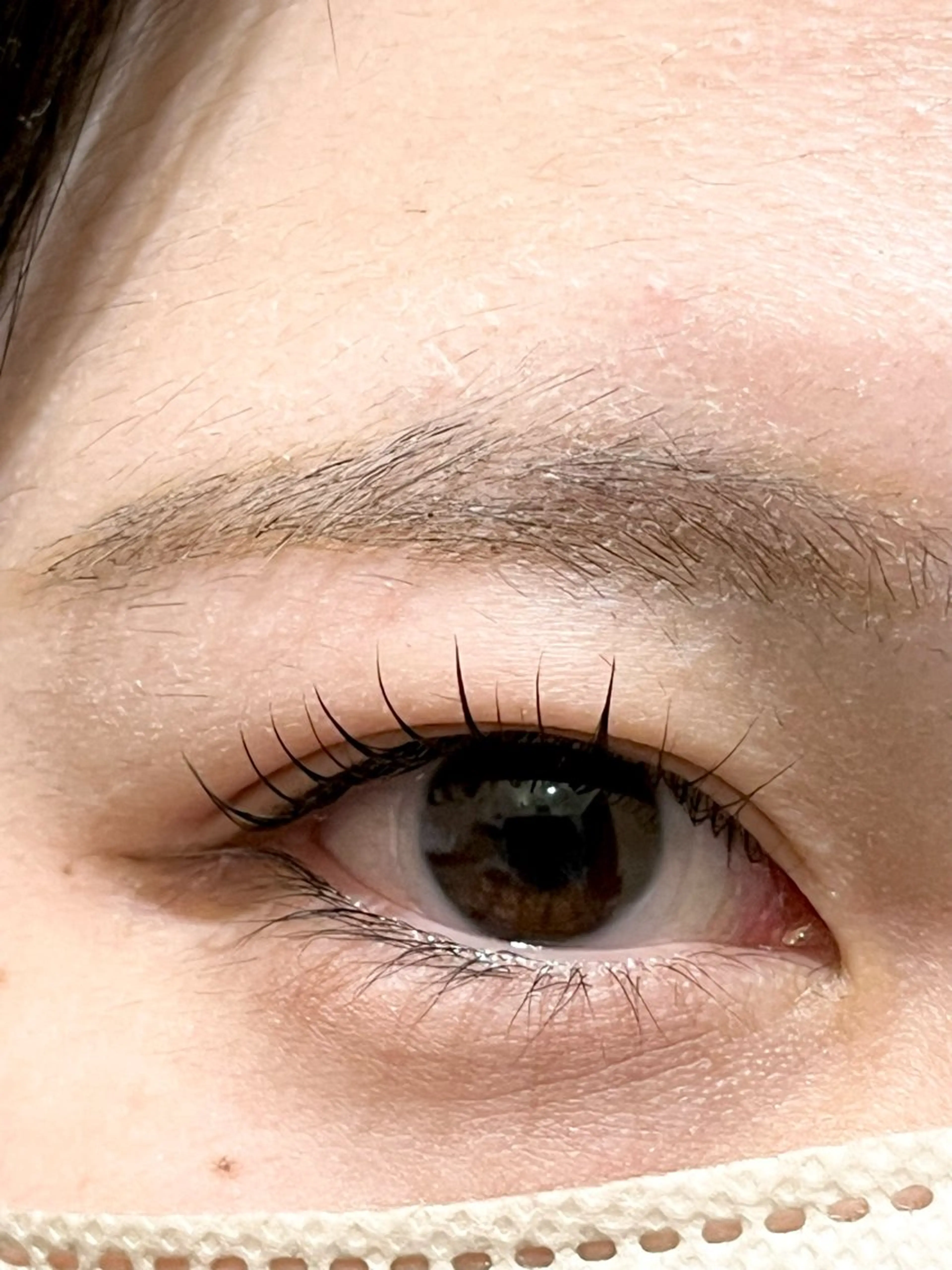 マツエク・マツパ Dカール マツパ 三澤 朱里の眉毛・アイブロウイメージ