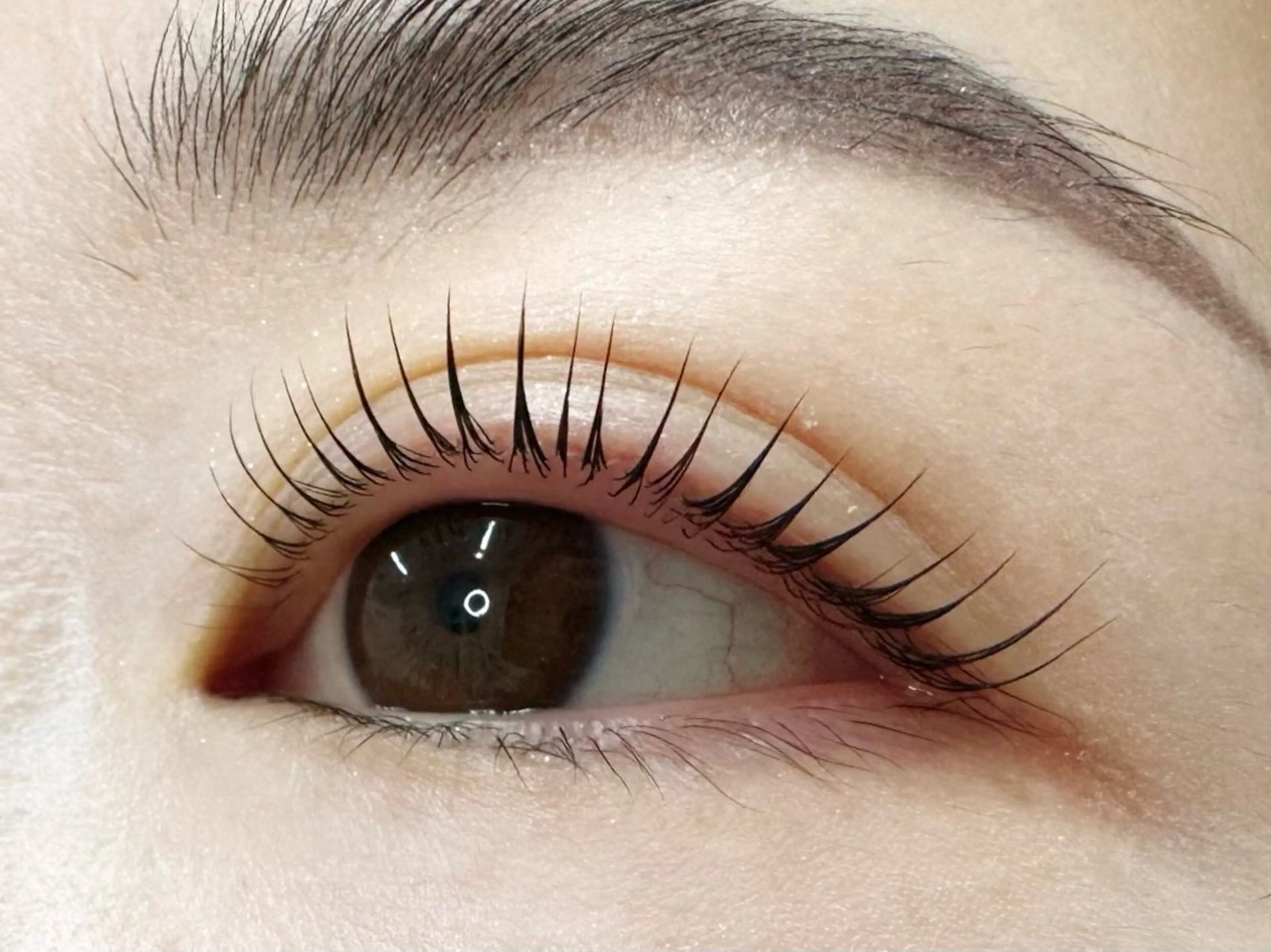 マツエク・マツパ acala【アカラ】 猪瀬のマツエク・マツパデザイン