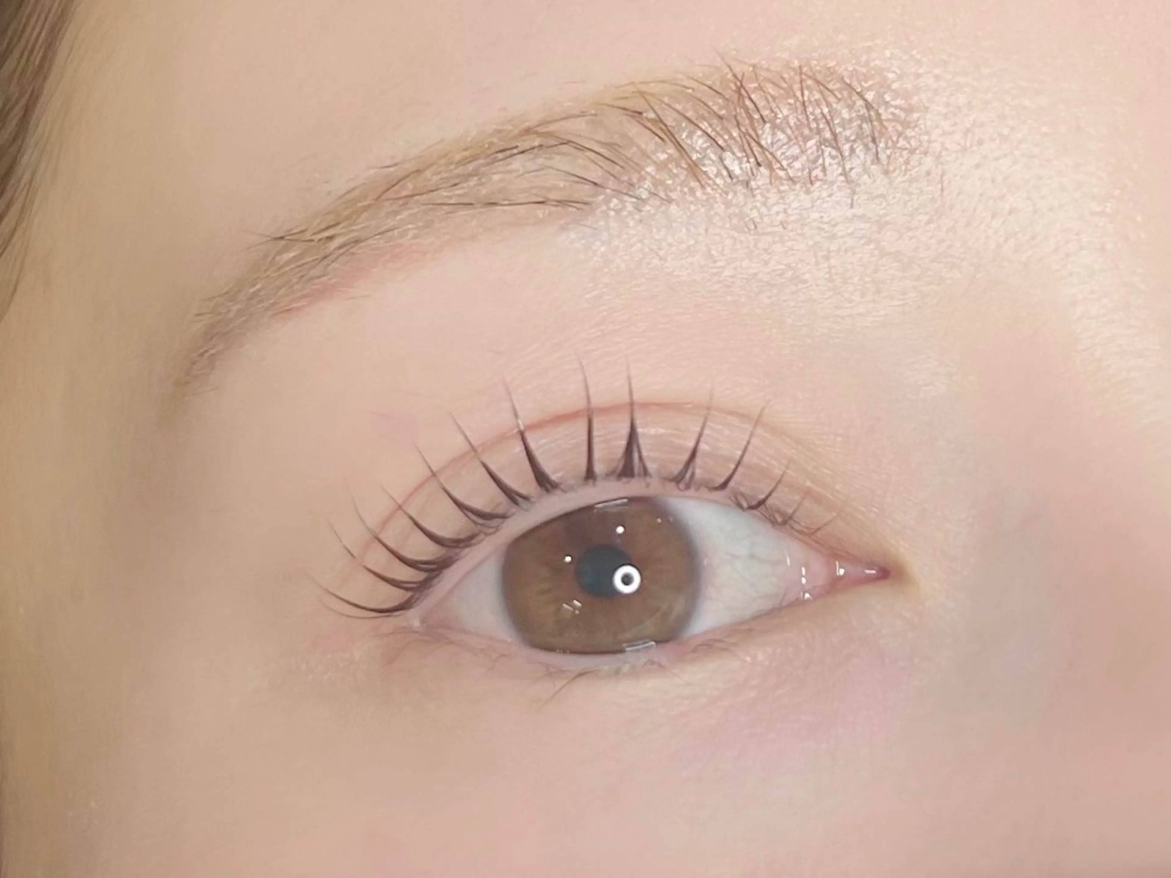 マツエク・マツパ 束感/ナチュラル/ mikuのマツエク・マツパデザイン