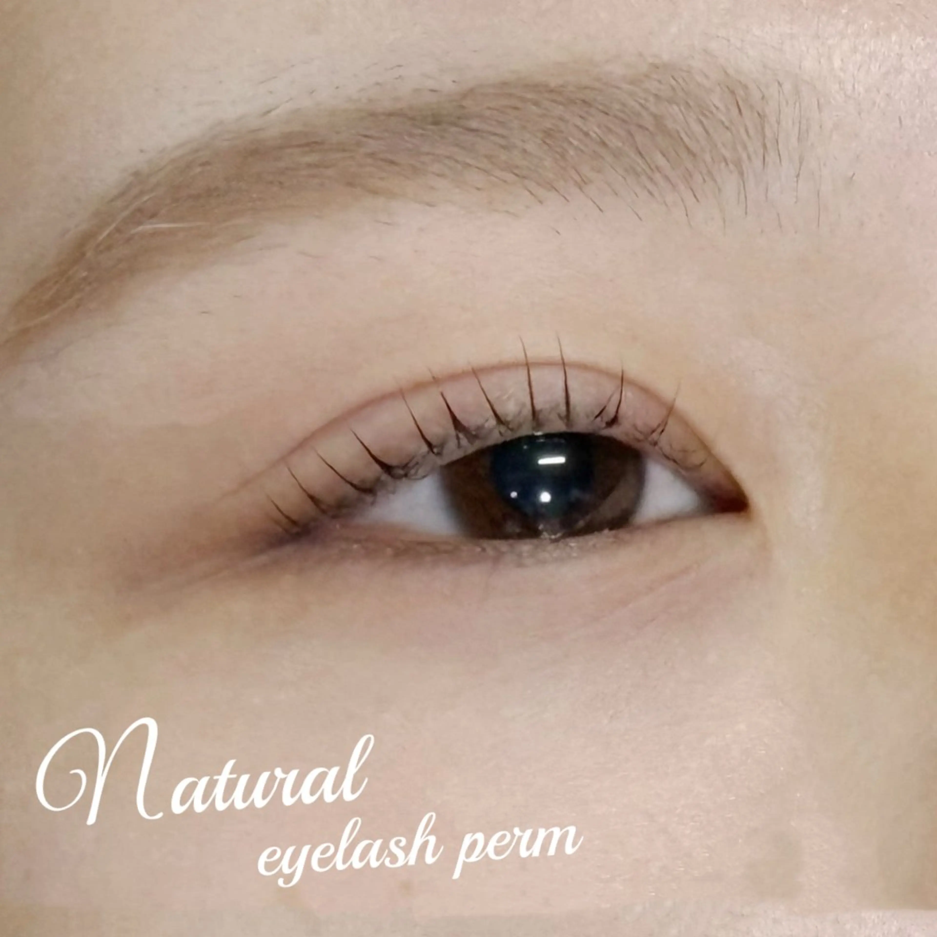 パーマ JANIS CHIHIROのマツエク・マツパデザイン