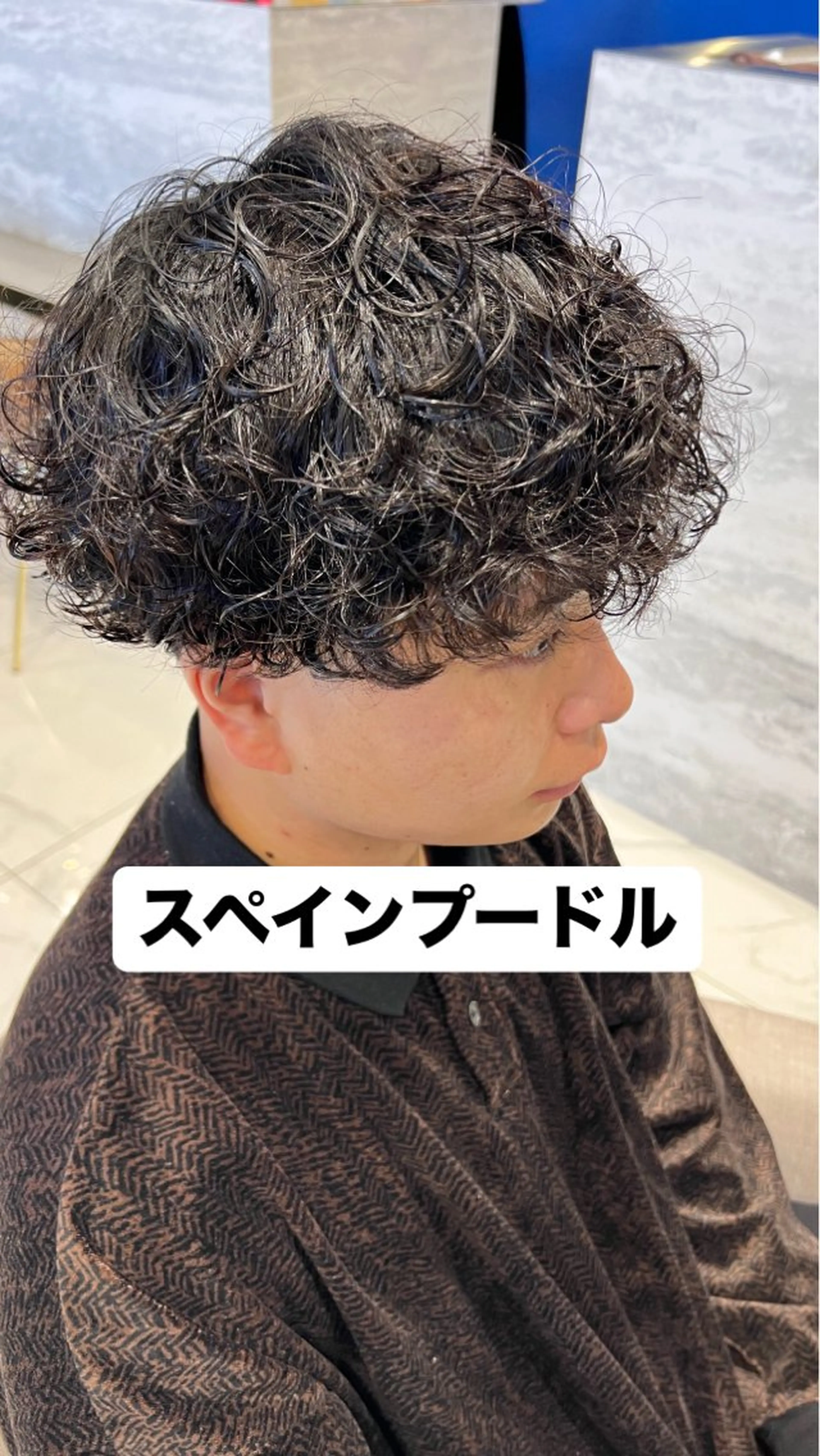 パーマ メンズ 志田 ほん/ メンズパーマのヘアスタイル