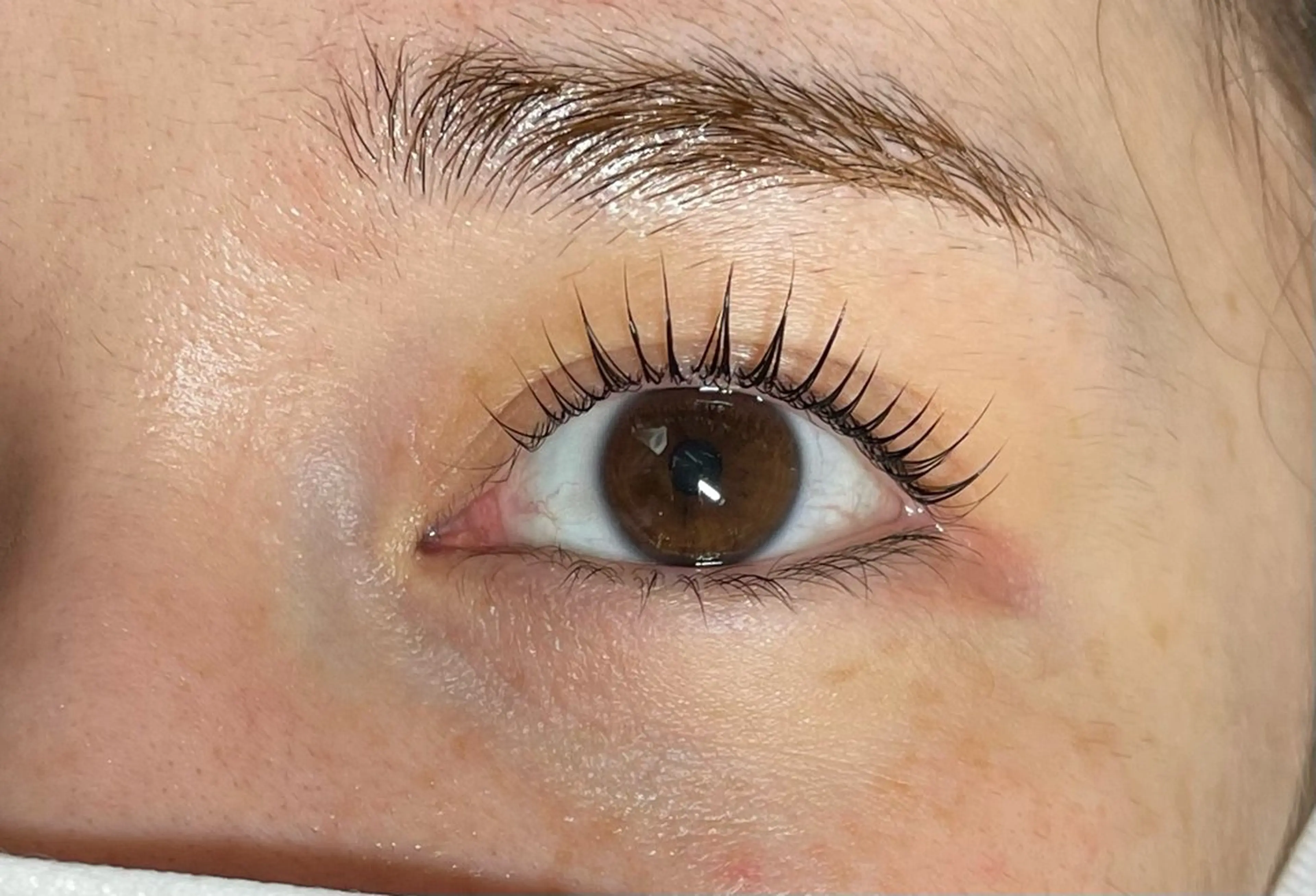 マツエク・マツパ パリジェンヌラッシュリフト Belle 長見の眉毛・アイブロウイメージ