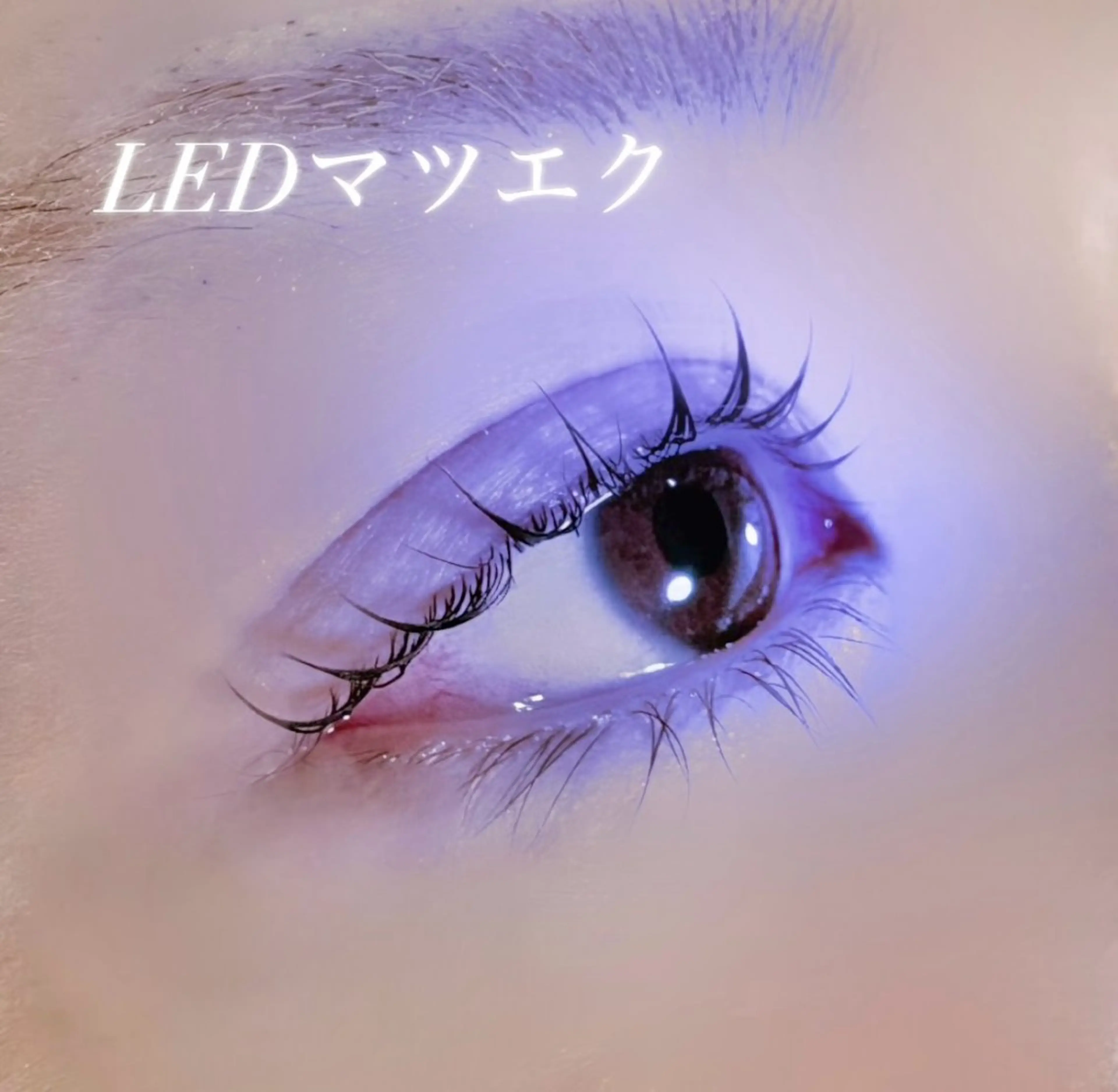 高持続 LEDフラットラッシュ100本🍀の写真