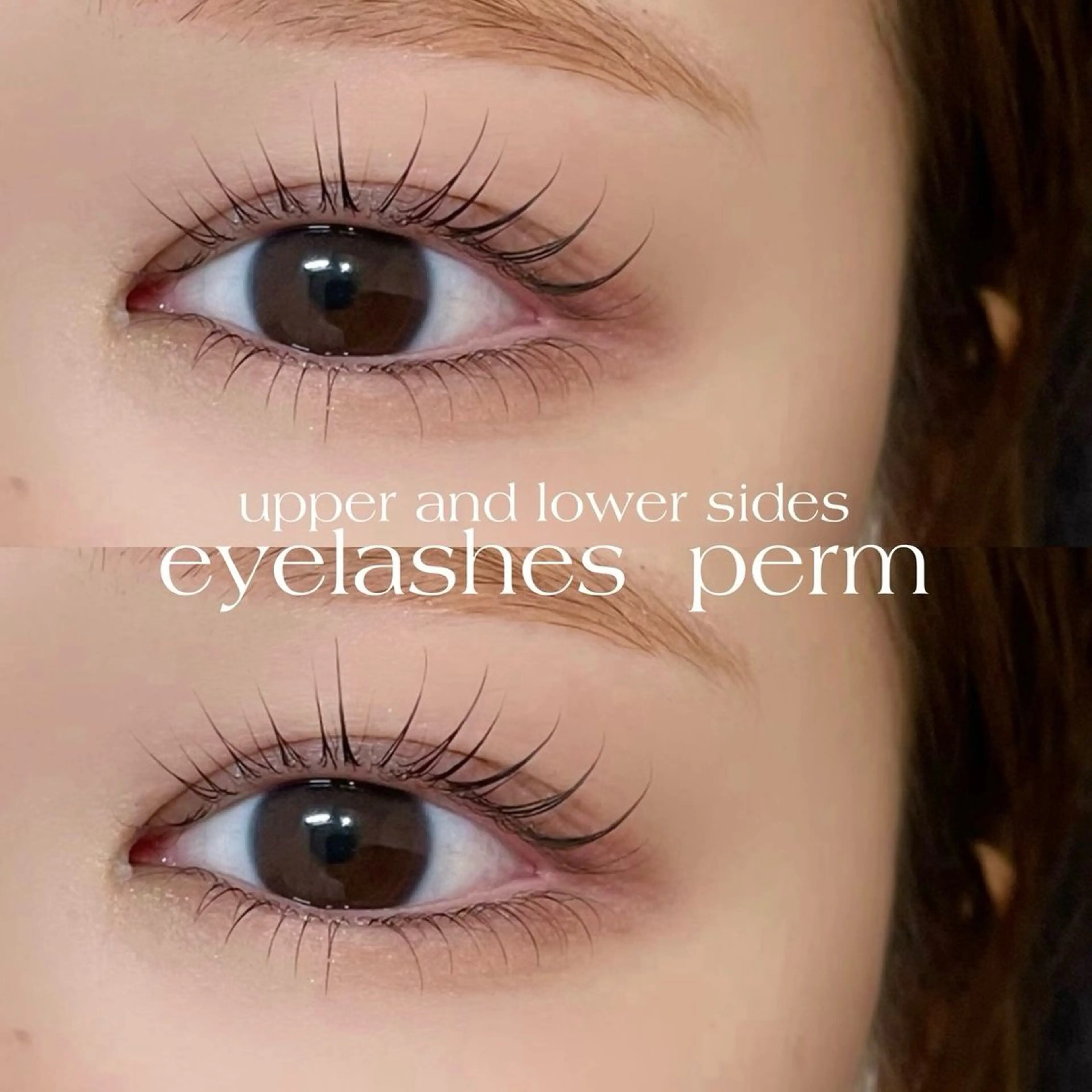 上下パーマの写真