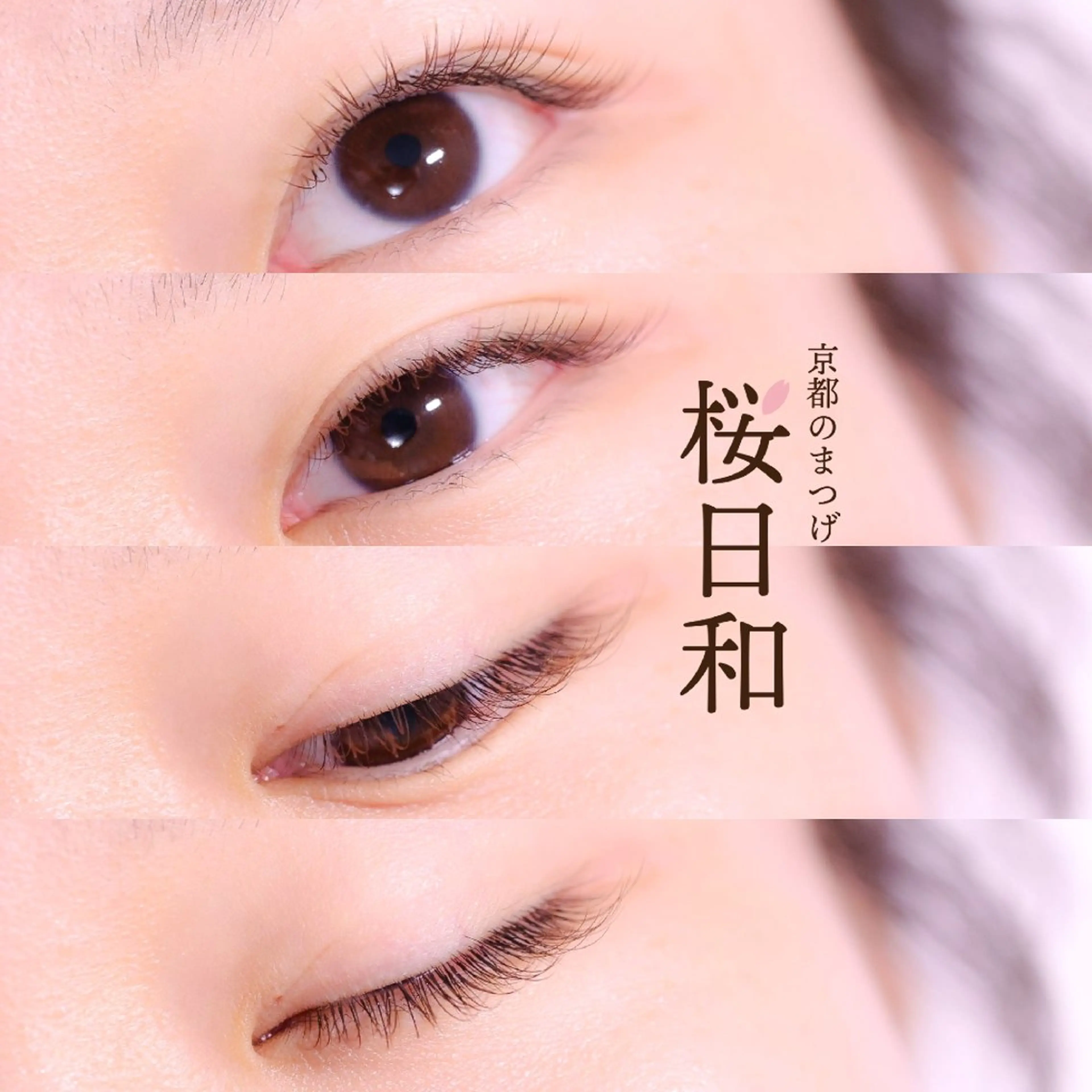 マツエク・マツパ カラーマツエク フラットラッシュ セクシー 京都のまつげ桜日和 小島美桜のマツエク・マツパデザイン