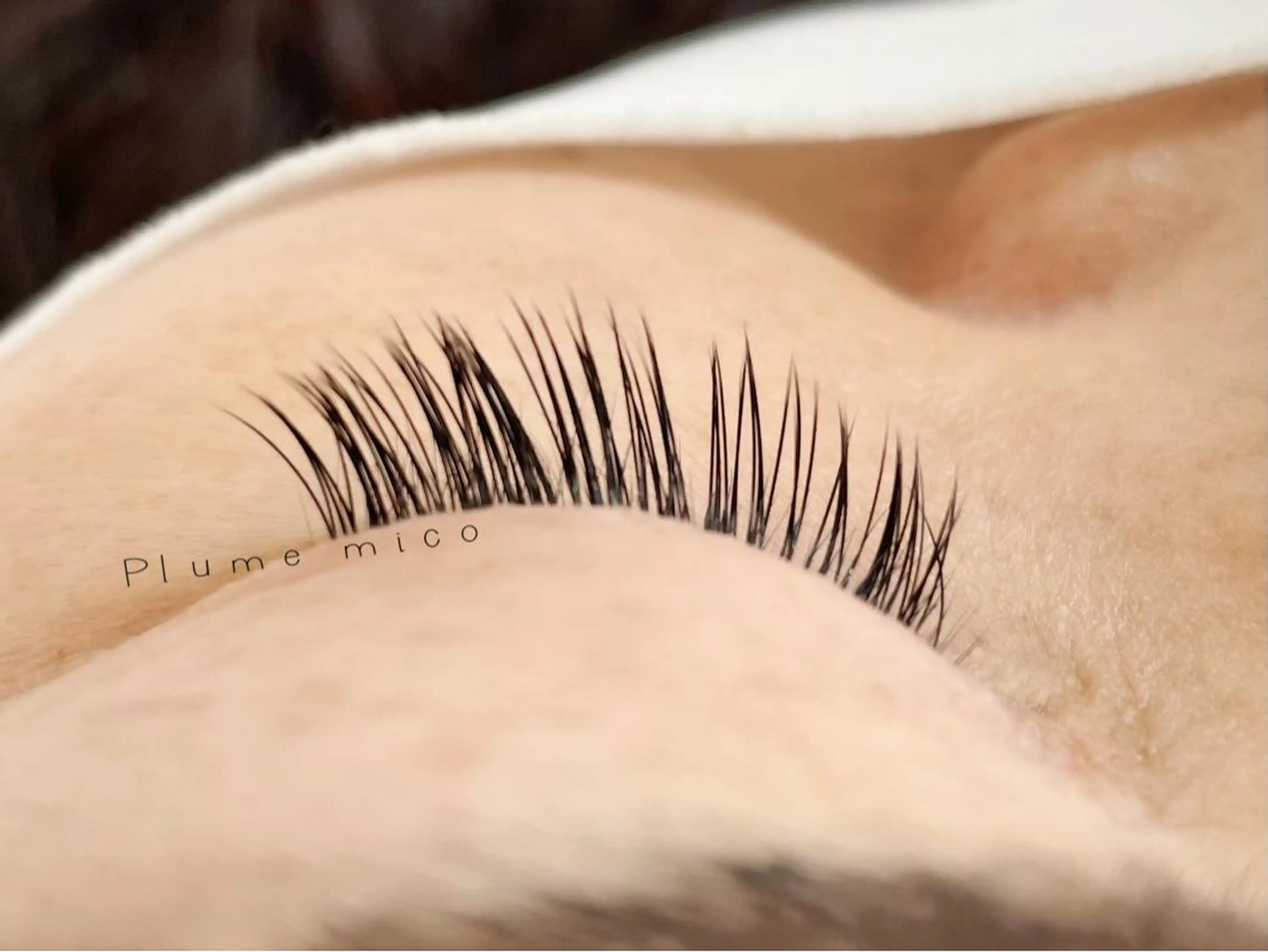 マツエク・マツパ マツエク Plume micoのマツエク・マツパデザイン