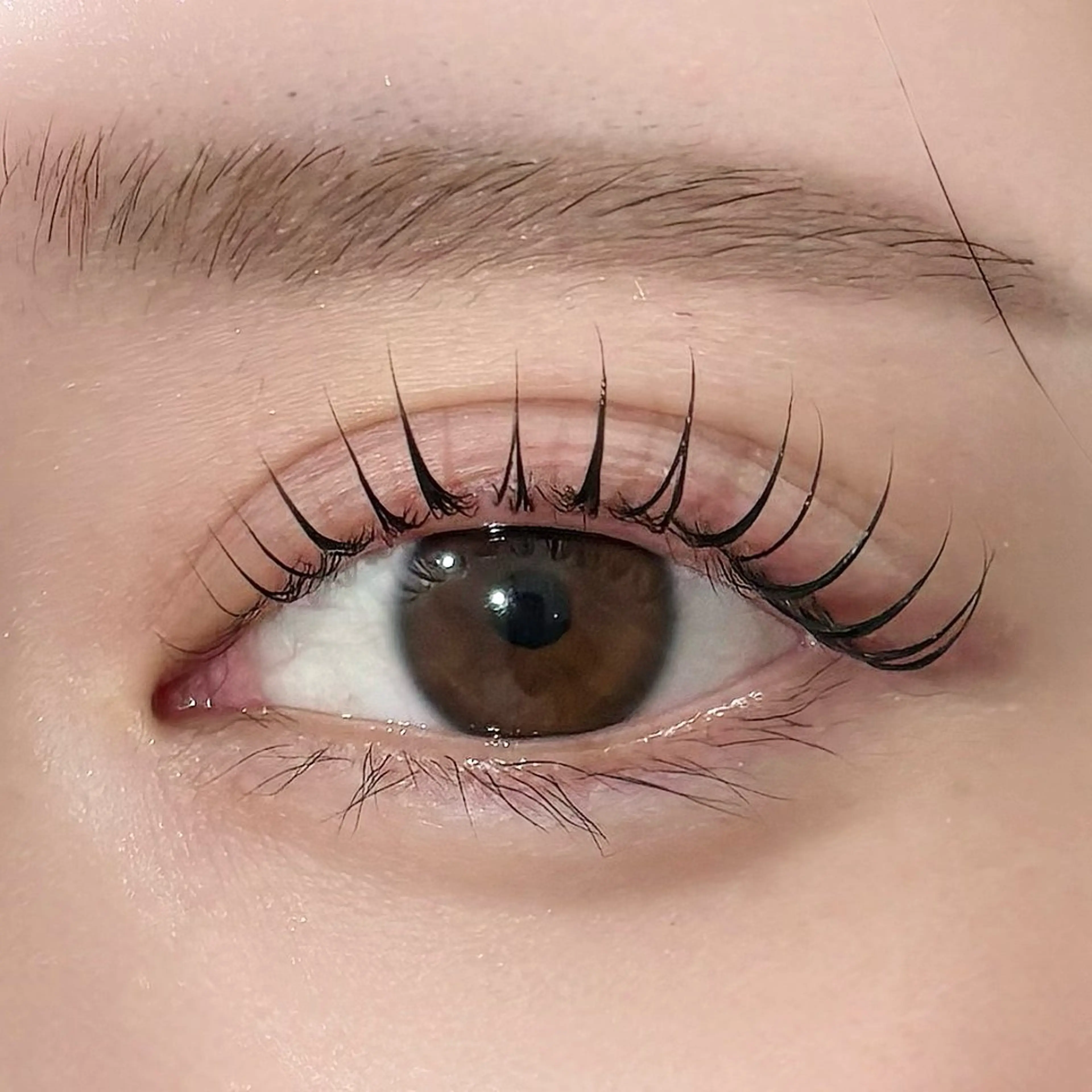 マツエク・マツパ マツパ saki🌱名駅/ まつ毛パーマ/眉毛のマツエク・マツパデザイン