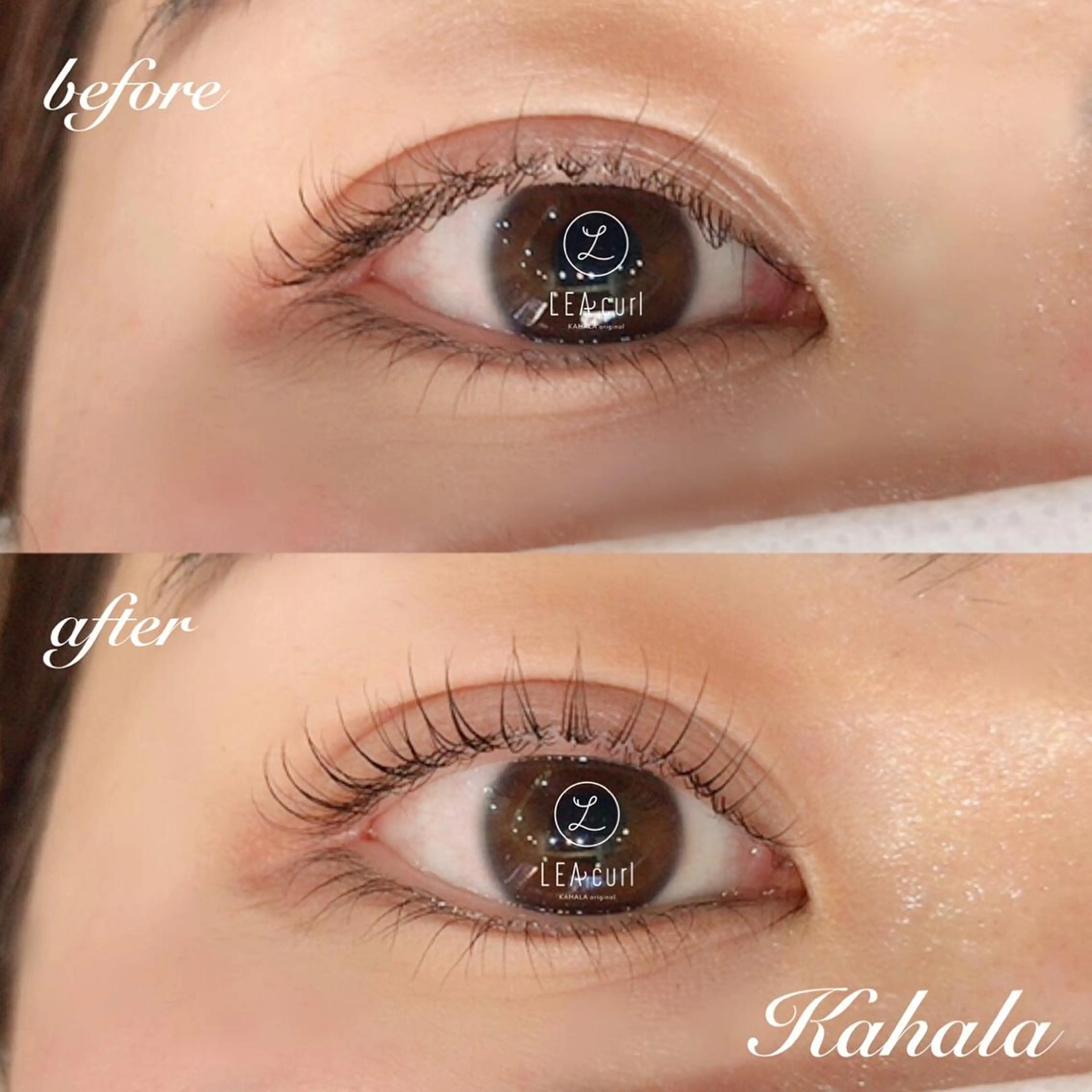 マツエク・マツパ Fujimoto 🦭⸝⋆꙳のマツエク・マツパデザイン