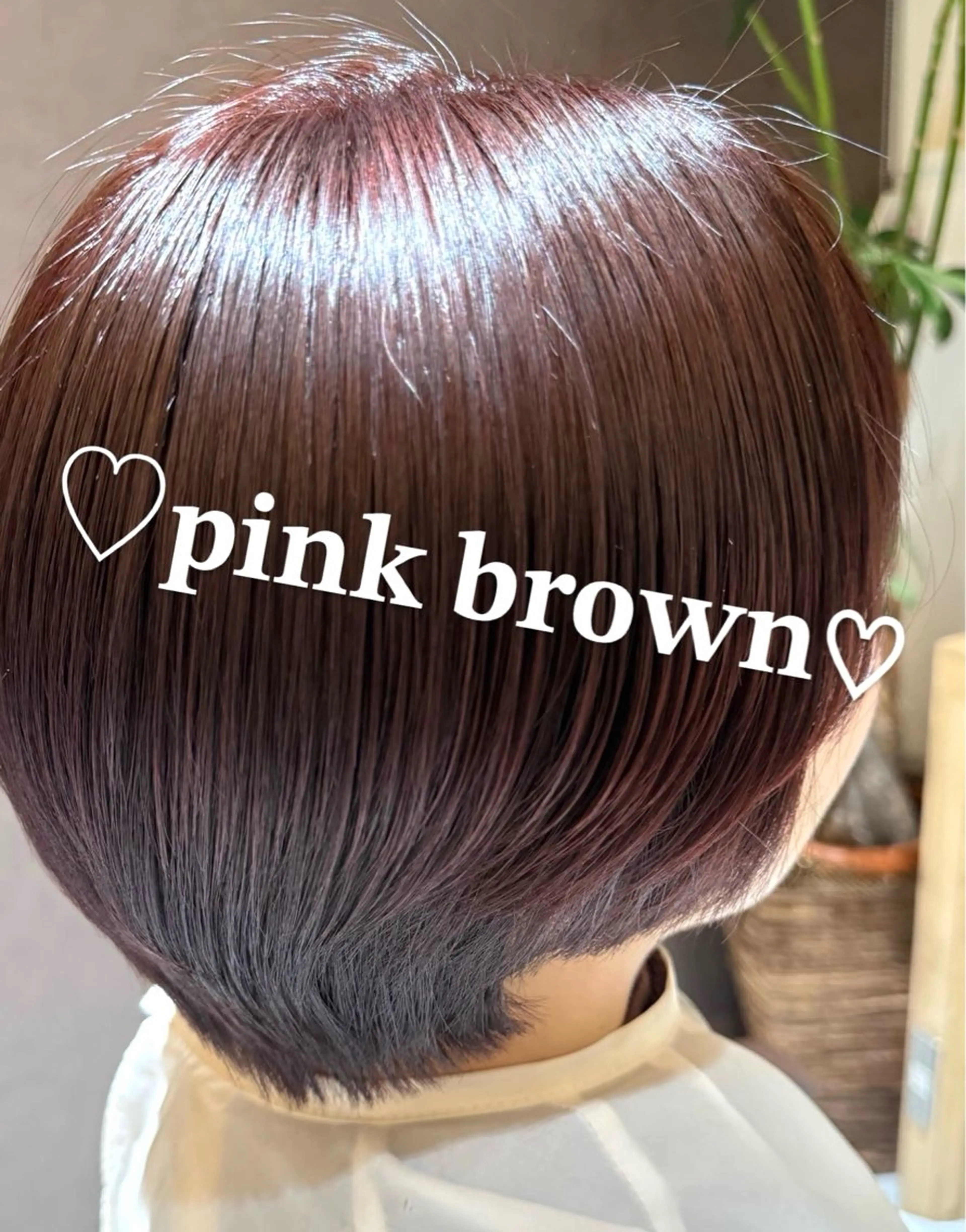 ファッションカラー全体染め✨🩵リピーター様向けの写真