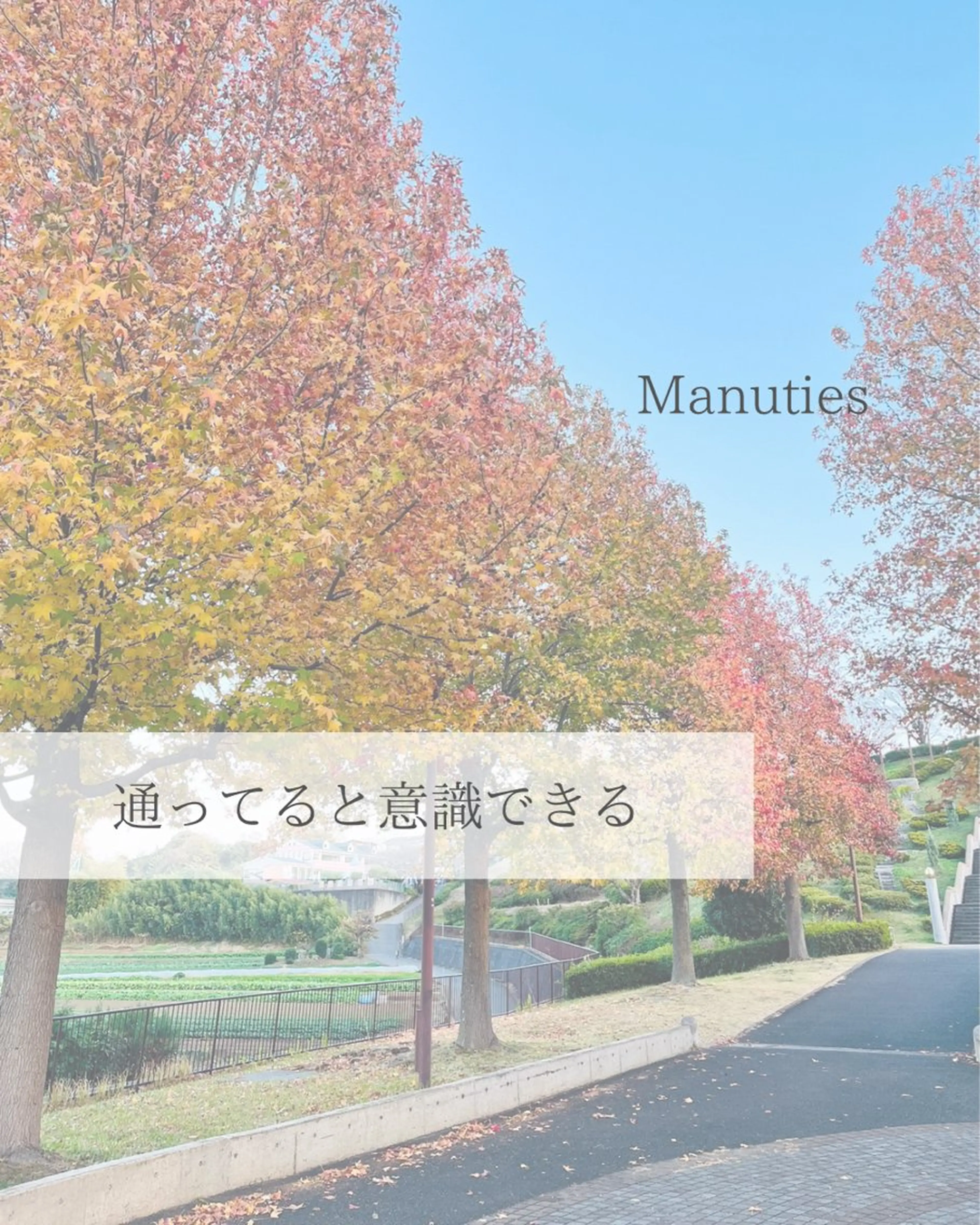 彫刻リンパ/骨盤ケア マヌティーズのその他イメージ