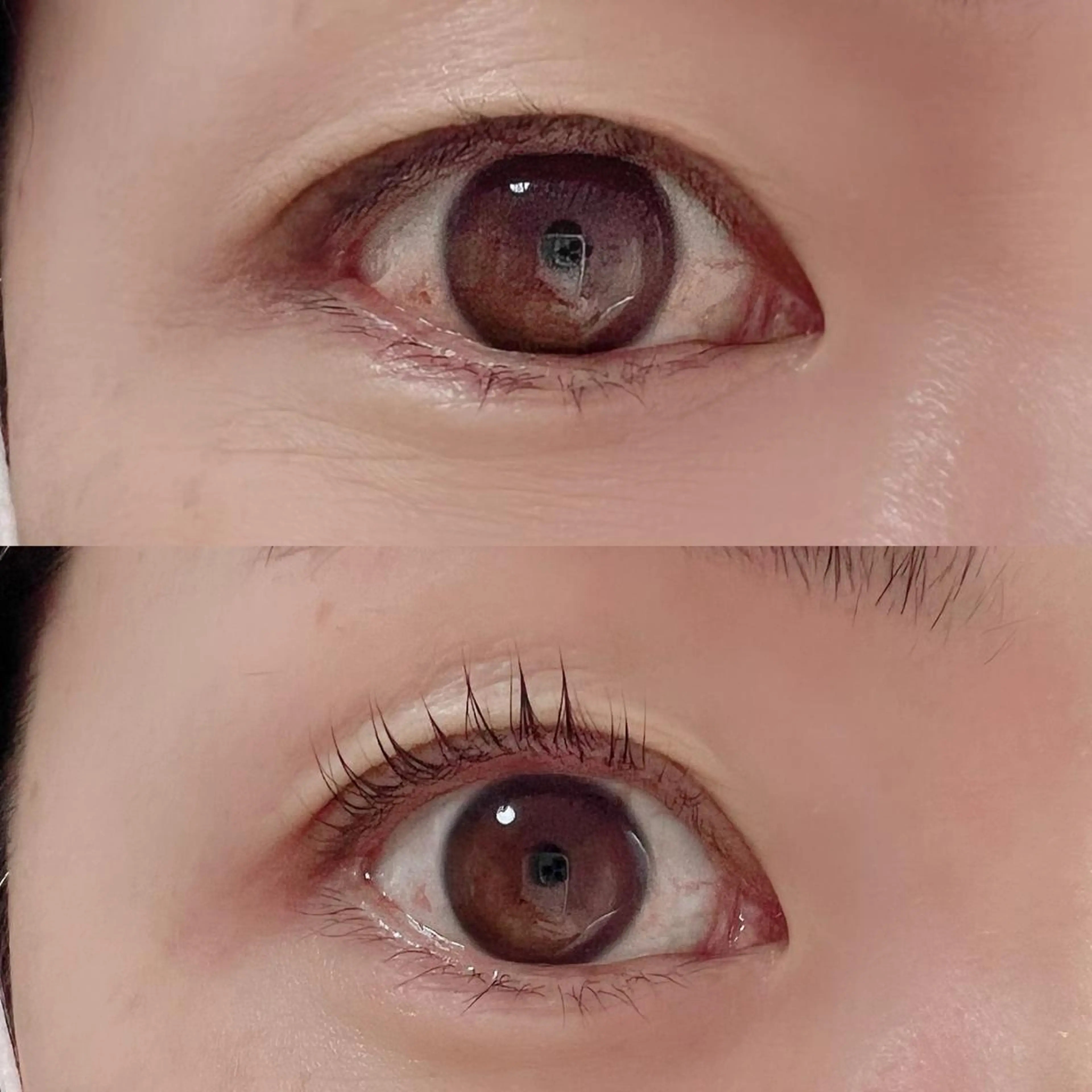 マツエク・マツパ パリジェンヌラッシュリフト chou chou シュシュのマツエク・マツパデザイン