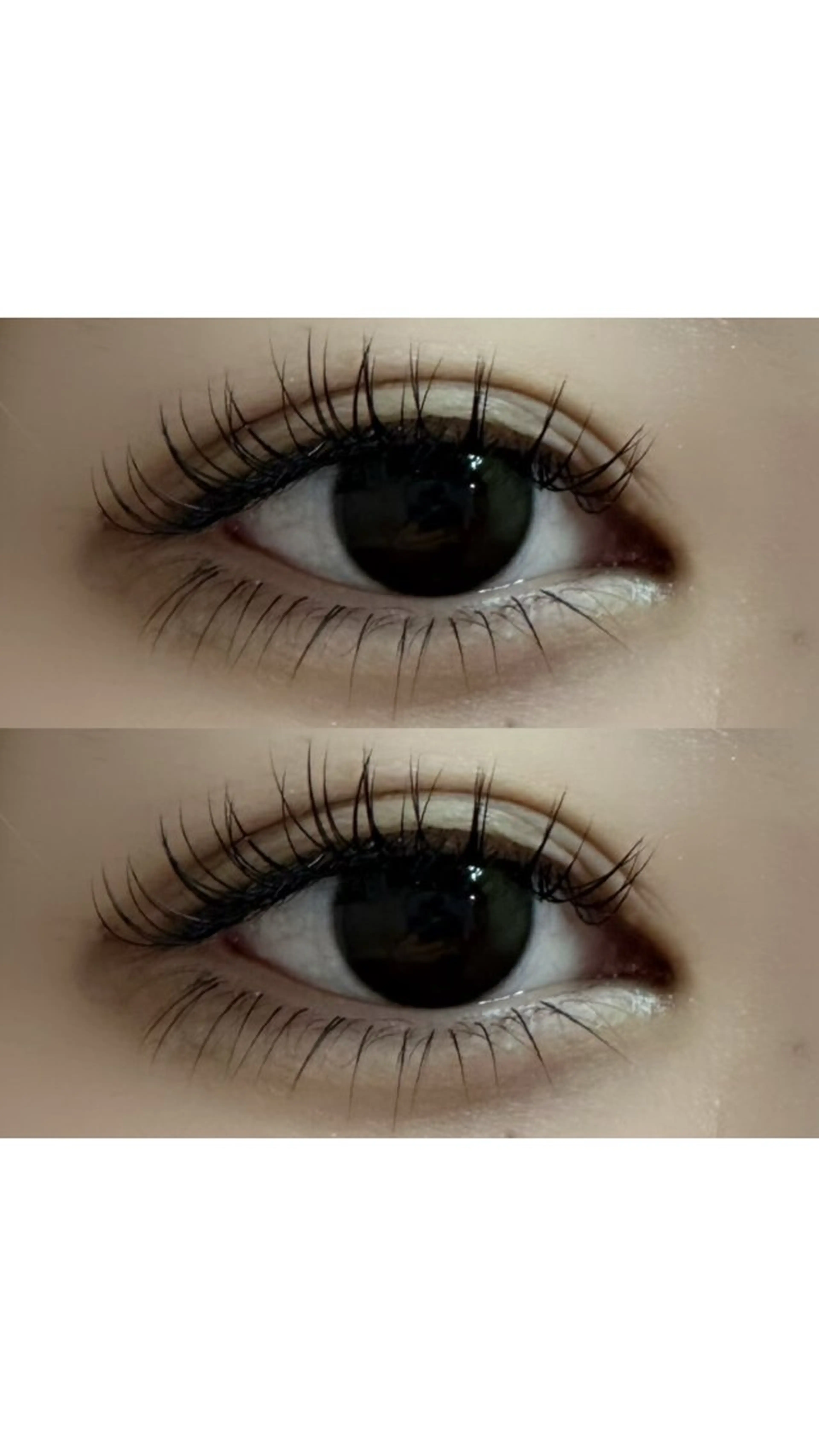 マツエク・マツパ Dカール Jカール 藤原 歩香の眉毛・アイブロウイメージ