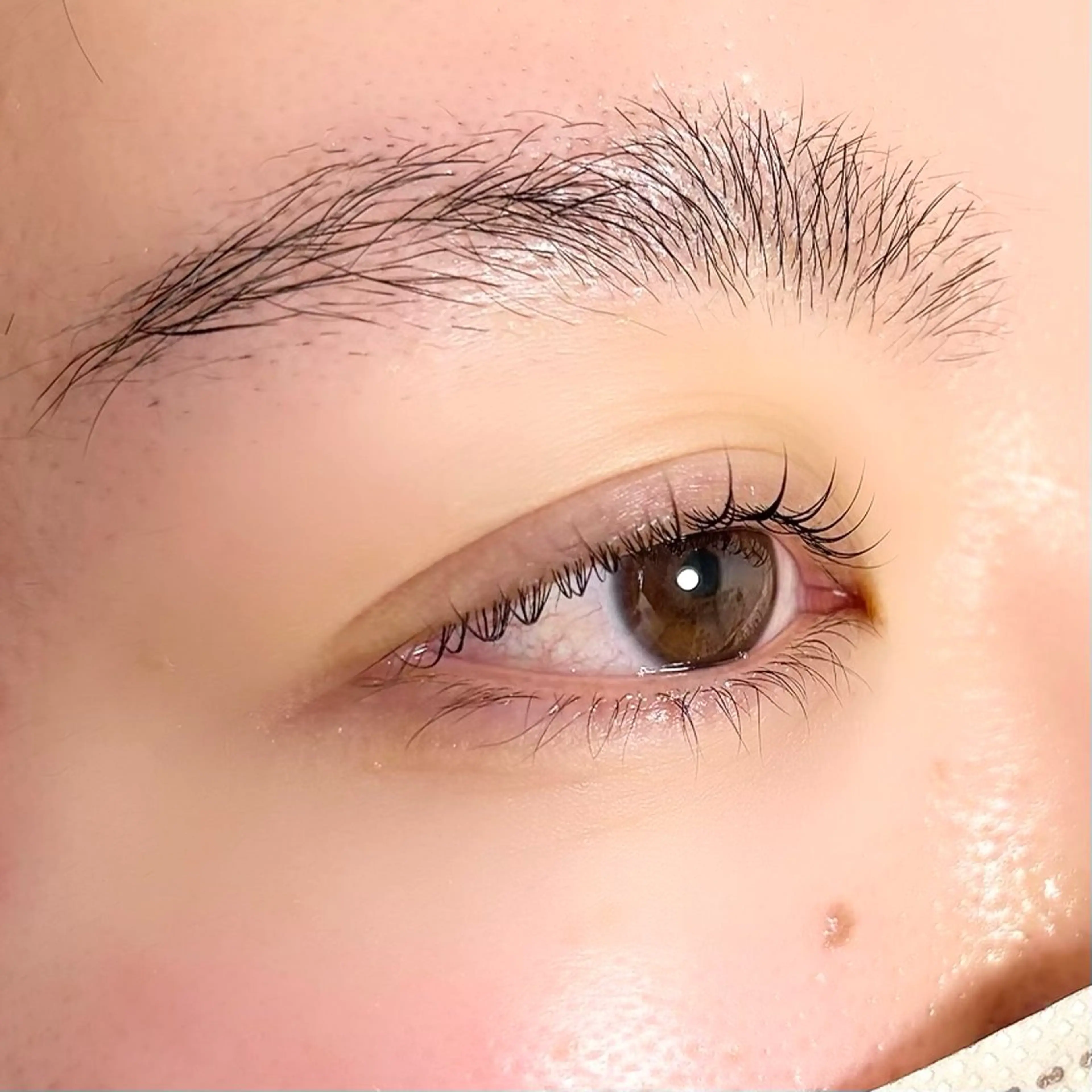 マツエク・マツパ まつ毛パーマ champかなのマツエク・マツパデザイン