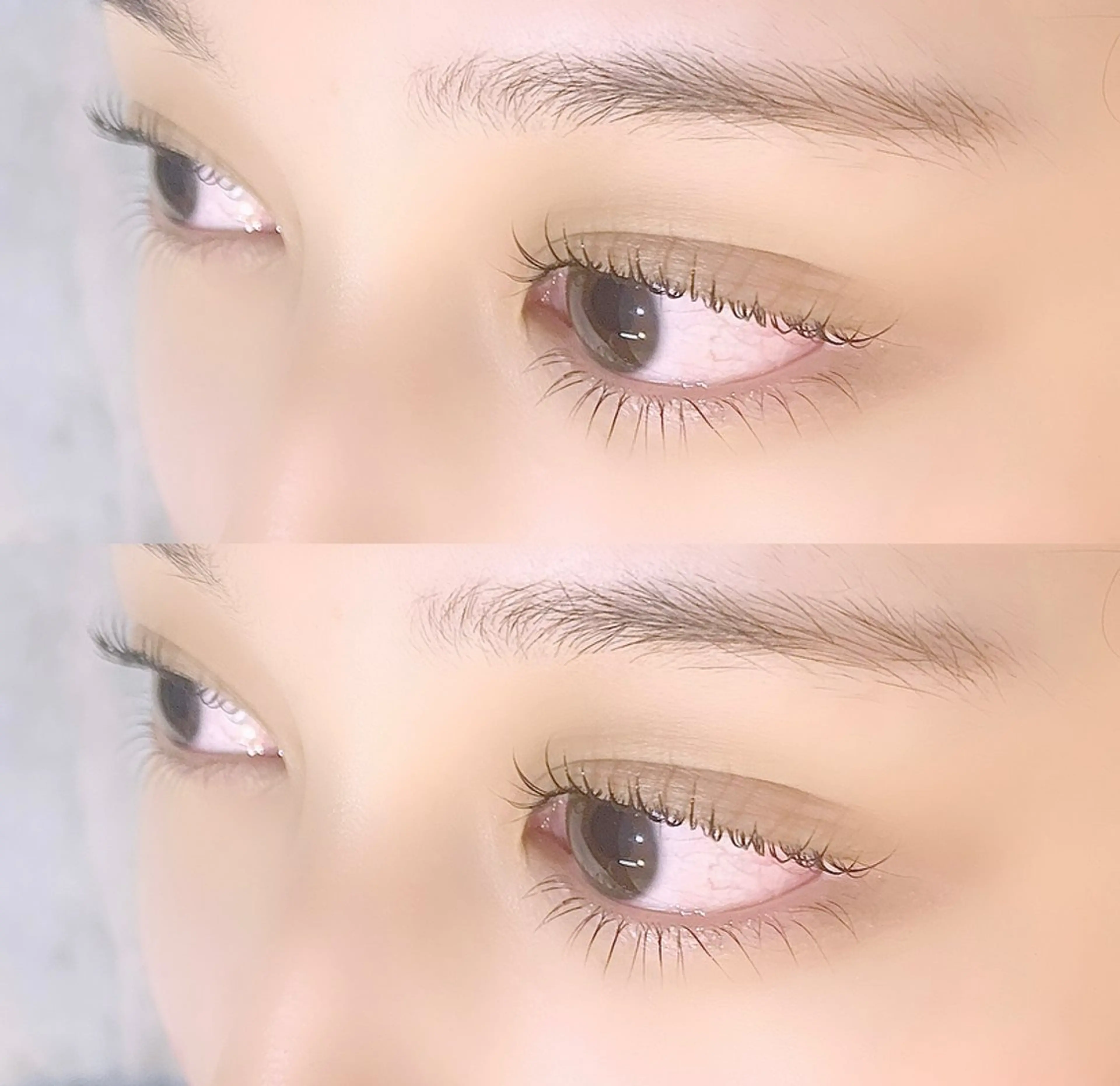 【平日予約限定】🎀まつげパーマ上のみ🎀《ケラチンorパリジェンヌ》の写真