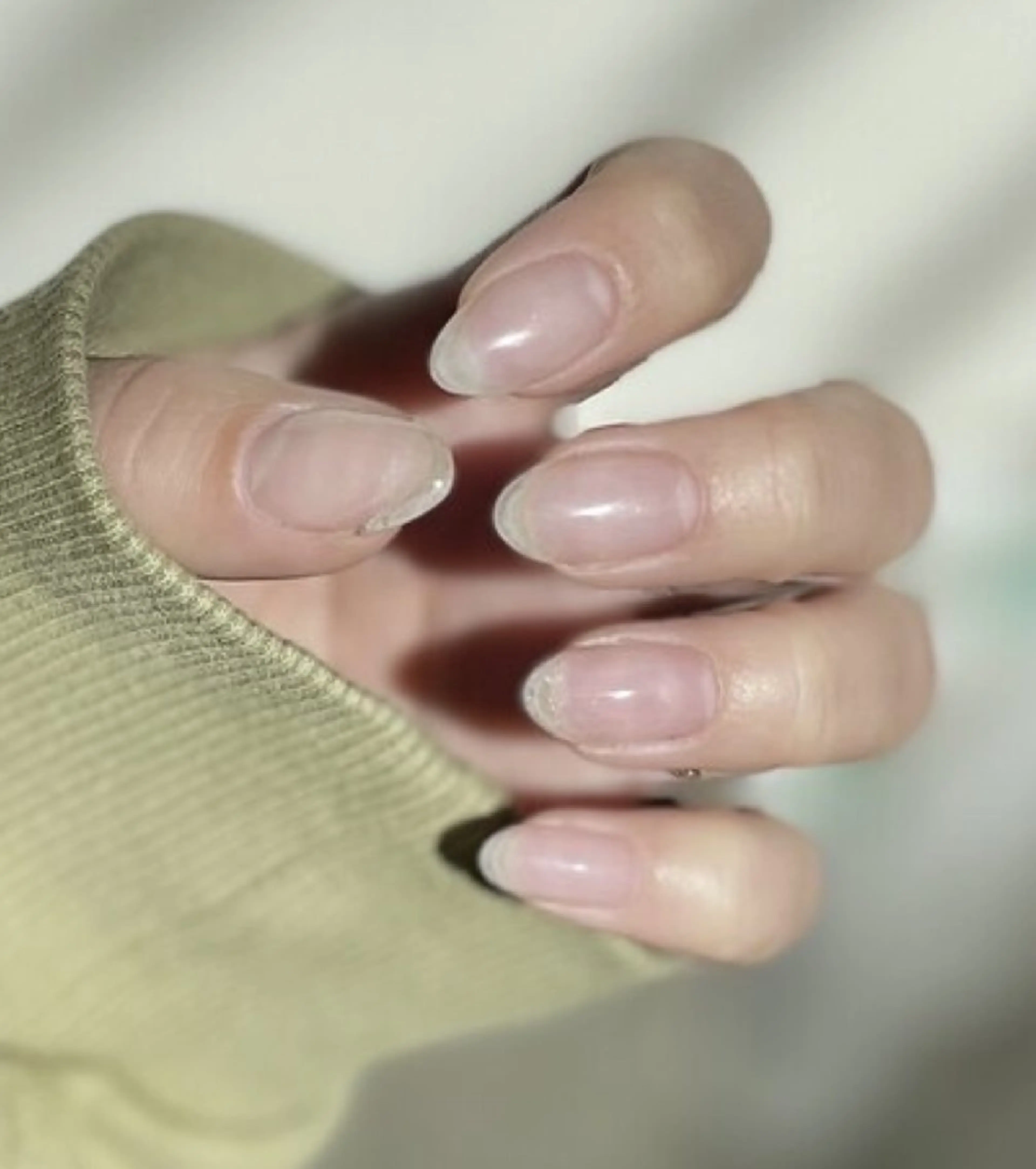 オフのみの写真