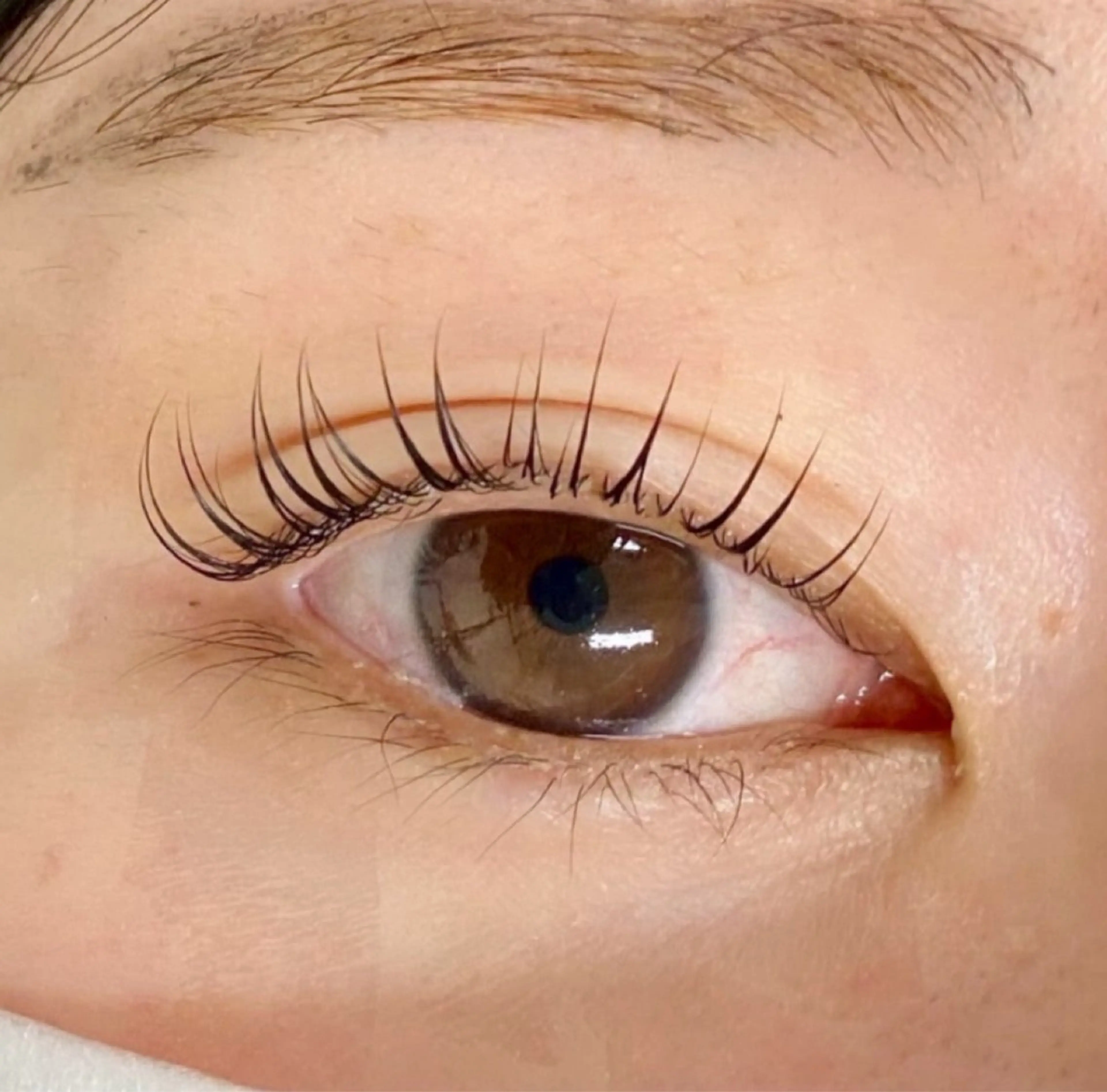 マツエク・マツパ nicottlash 難波店 山崎のマツエク・マツパデザイン