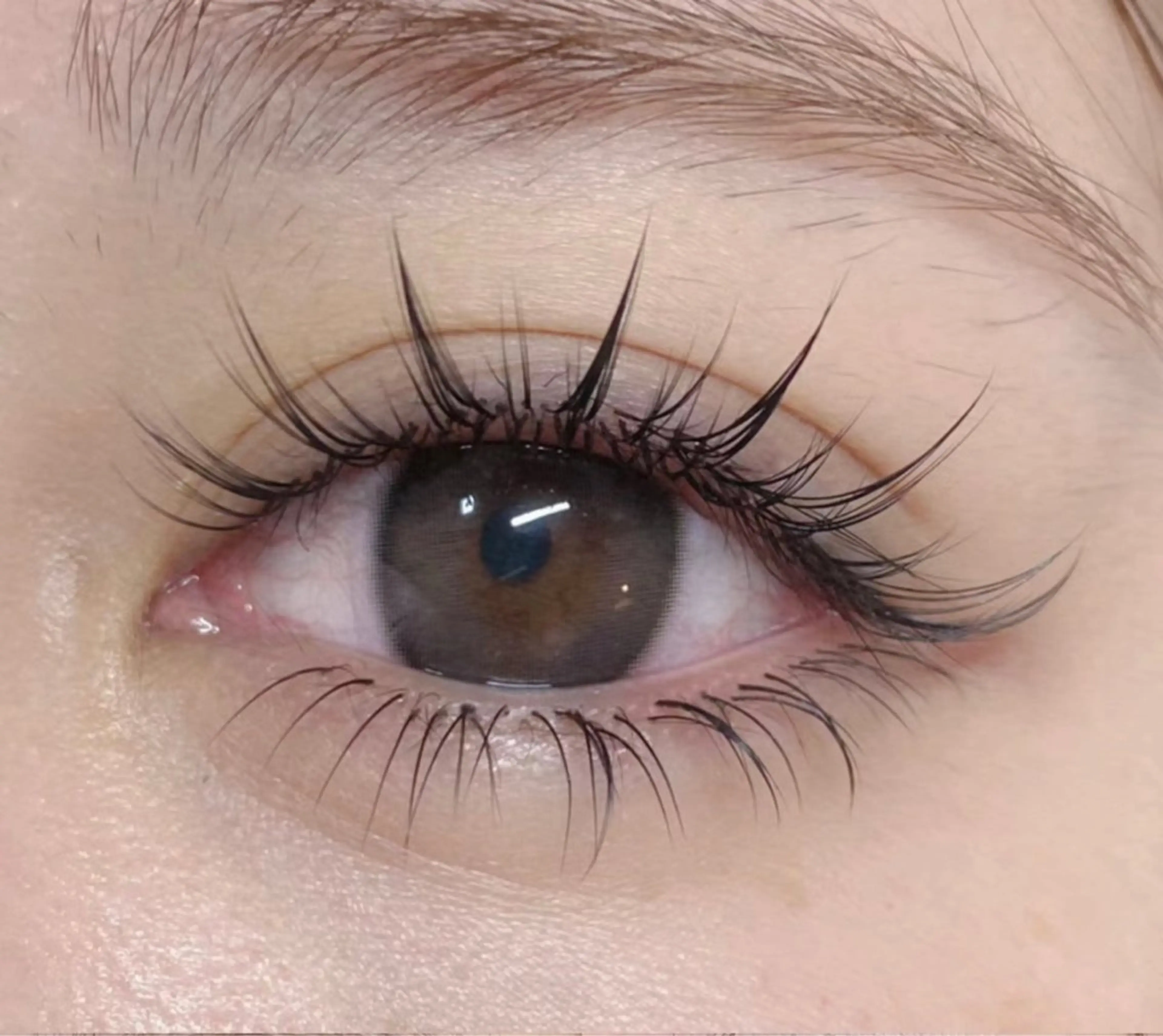 マツエク・マツパ マツエク Aranasalon 池袋店のマツエク・マツパデザイン