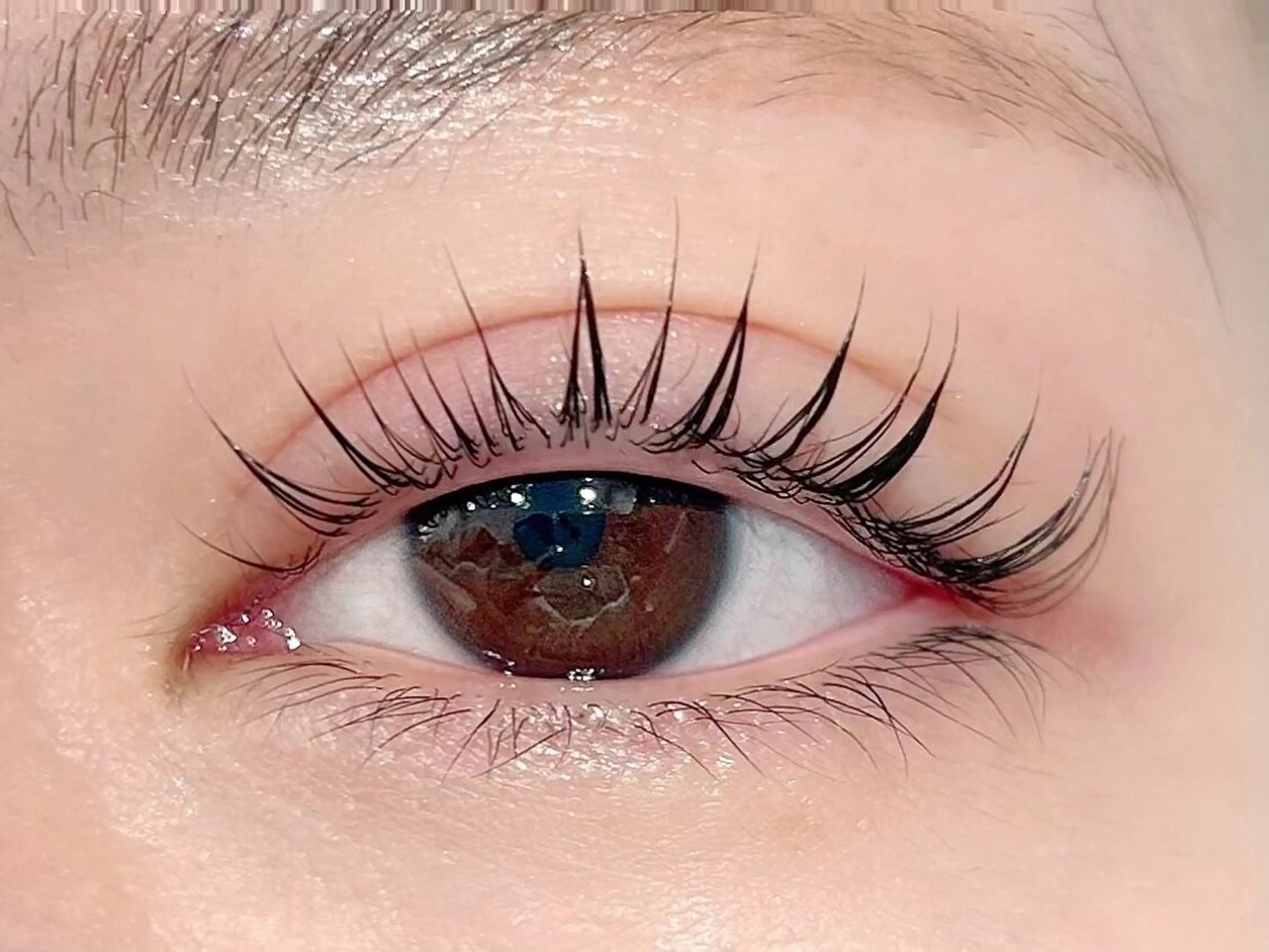 マスカラパーマ🖤束感コーティング仕上げの写真